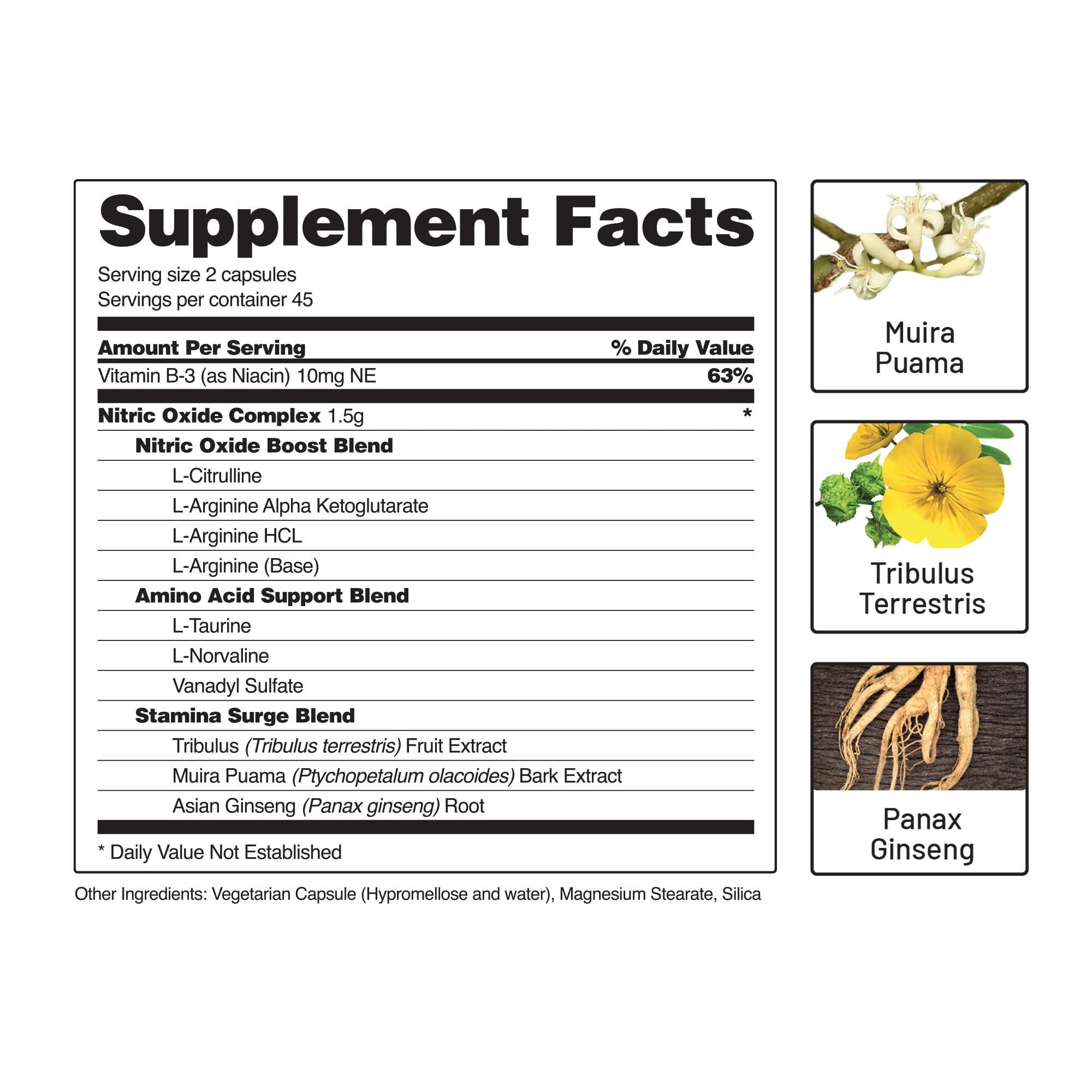 Snap Supplements Nitric Oxide Booster, Nitric Oxide Supplement for Blood Circulation - AB Mystery