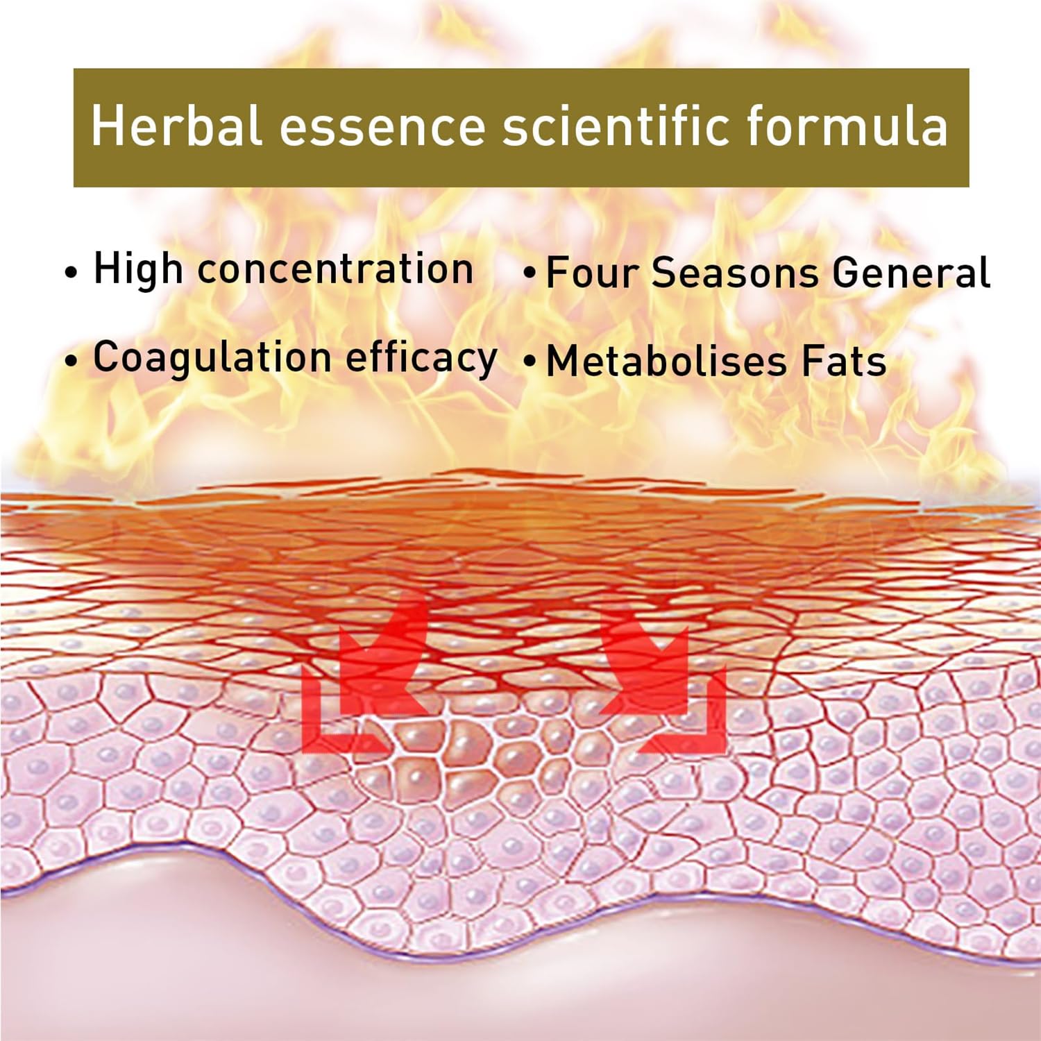 Bee Venom Slimming Nose Ring GGPM Bee Venom Lymphatic Drainage & Slimming Nose Ring Bee - AB Mystery