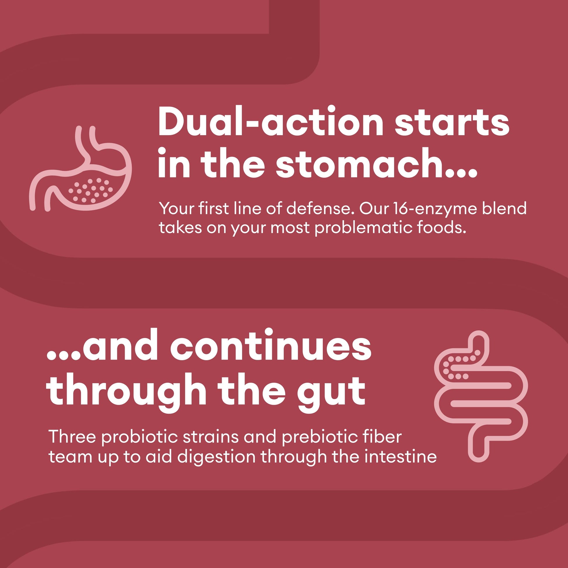 Physician's CHOICE Digestive Enzymes - Multi Enzymes, Organic Prebiotics & Probiotics - AB Mystery