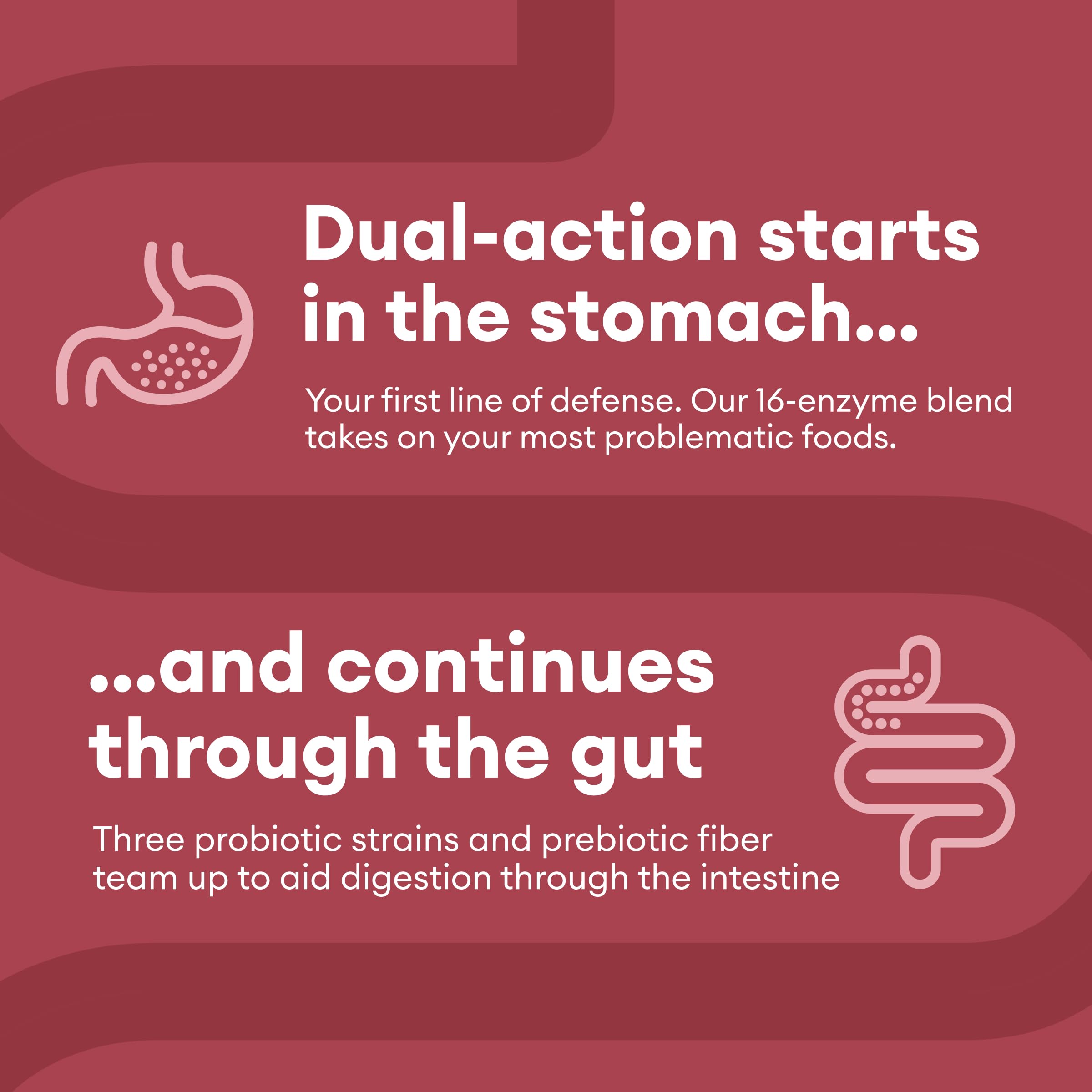 Physician's CHOICE Digestive Enzymes - Multi Enzymes, Organic Prebiotics & Probiotics - AB Mystery