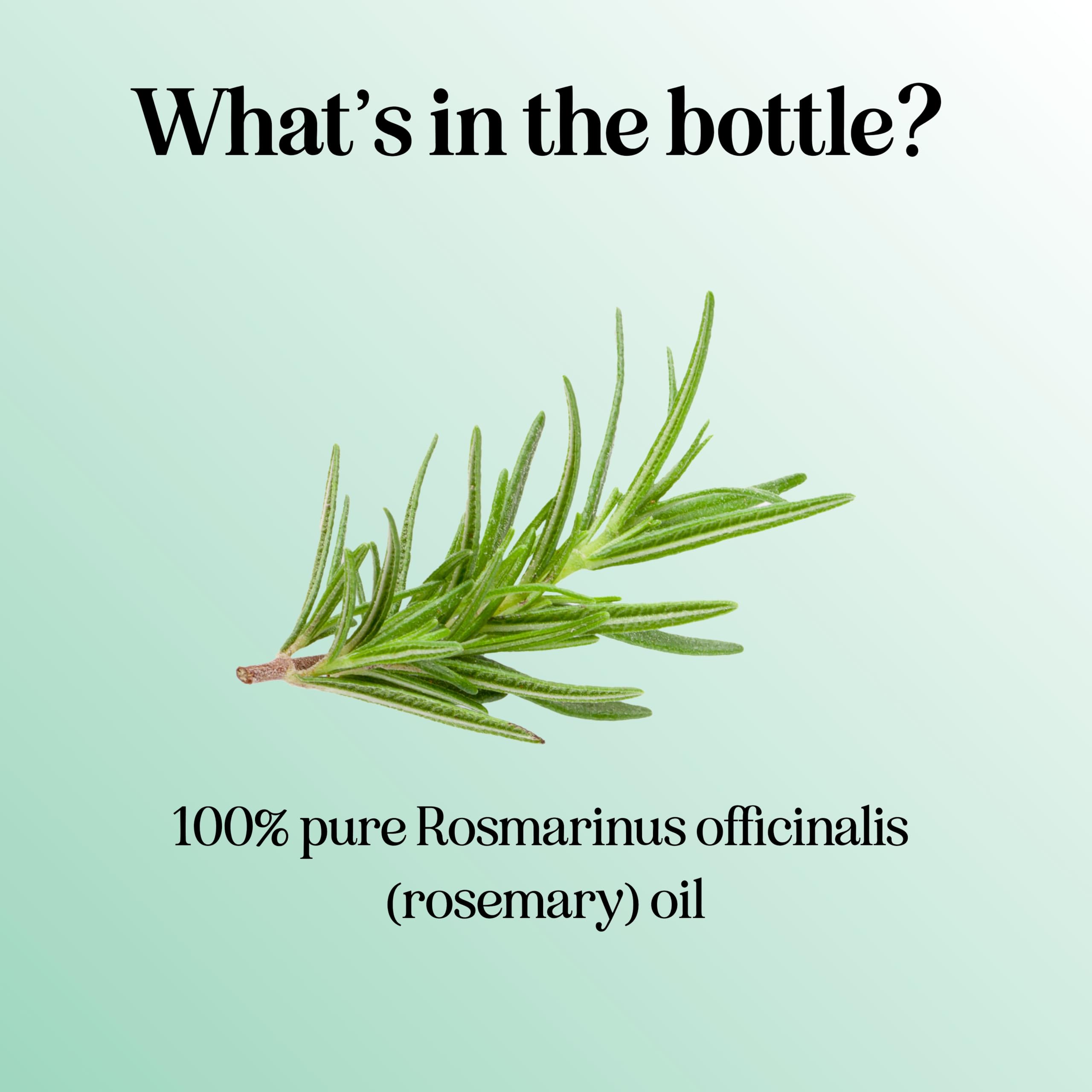 Pure Rosemary Essential Oil for Aromatherapy - Pure Rosemary Oil for Hair Skin and Nails - AB Mystery
