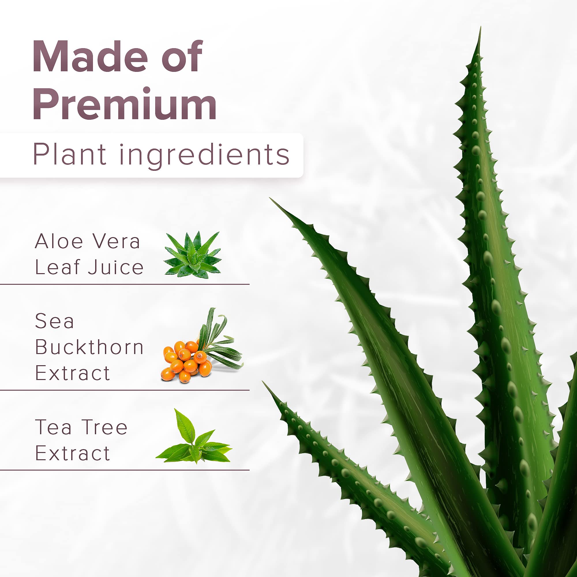 DR. SCHAVIT FEMOXIL Vaginal Suppositories - Natural Plant-Based Formula for The Treatment of Bacterial - AB Mystery