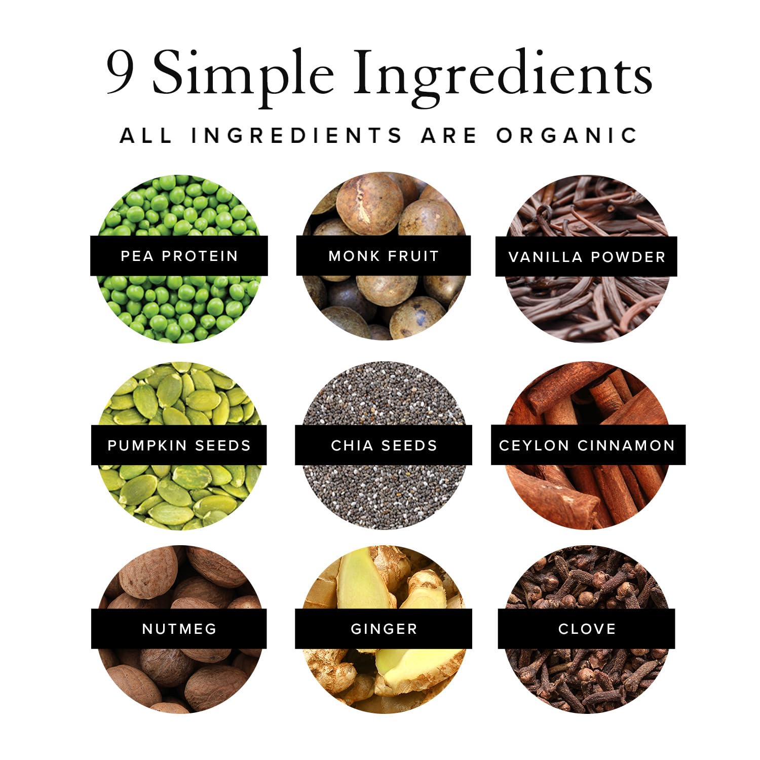 Truvani Organic Vegan Protein Powder Pumpkin Spice - 20g of Plant Based Protein - AB Mystery