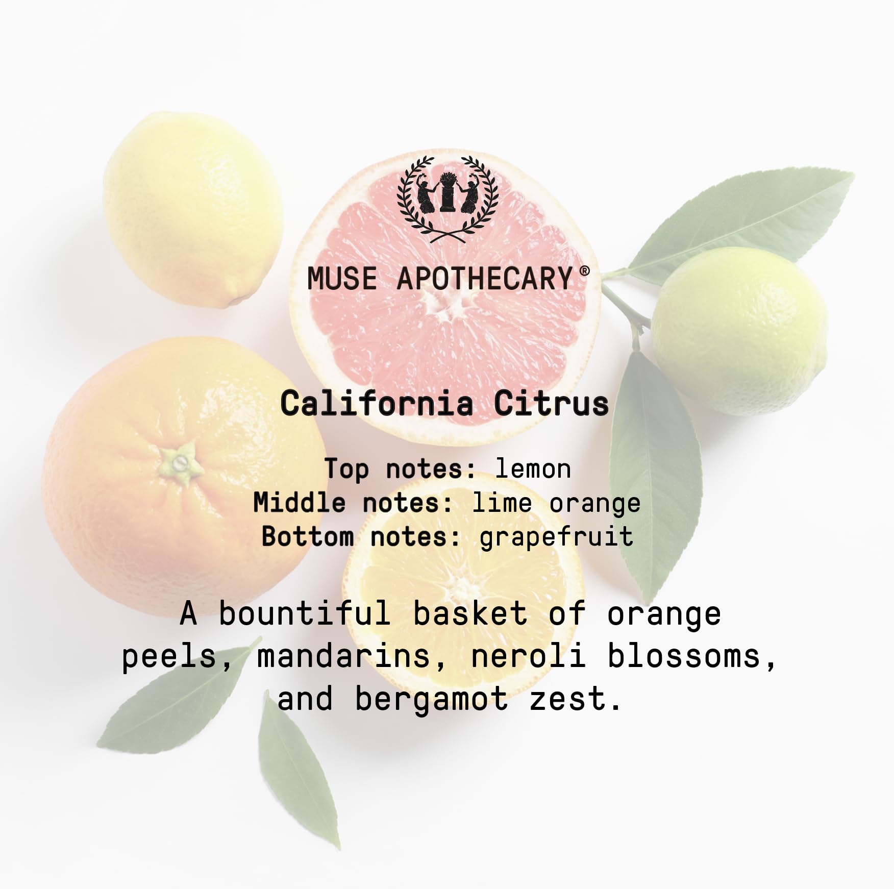 Muse Bath Apothecary Room Ritual - Aromatic and Relaxing Room Mist, 8 oz, Infused - AB Mystery