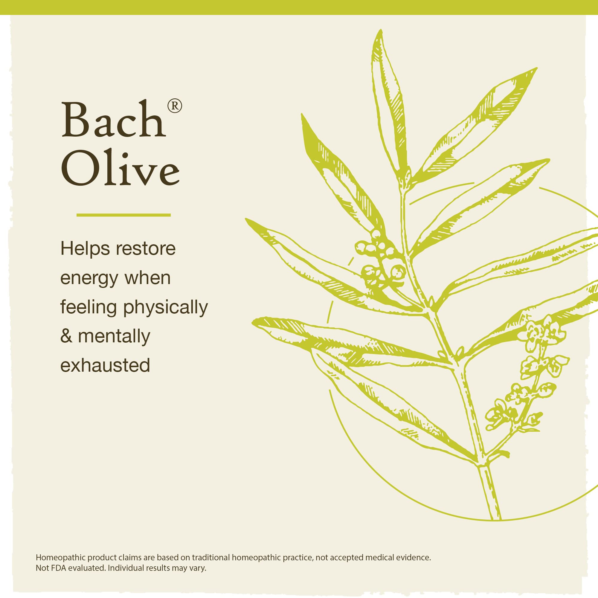 Bach Original Flower Remedies, Olive for Energy (Non-Alcohol Formula), Natural Homeopathic Flower - AB Mystery
