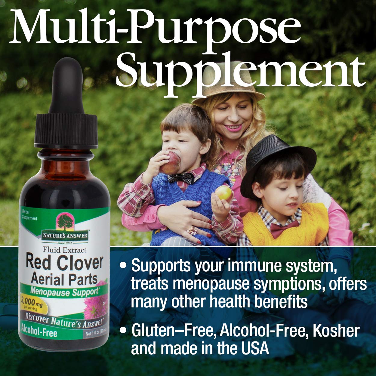 Nature's Answer Red Clover Extract Supplement Alcohol Free 1 Oz (Pack of 4) | Natural Mood Support - AB Mystery