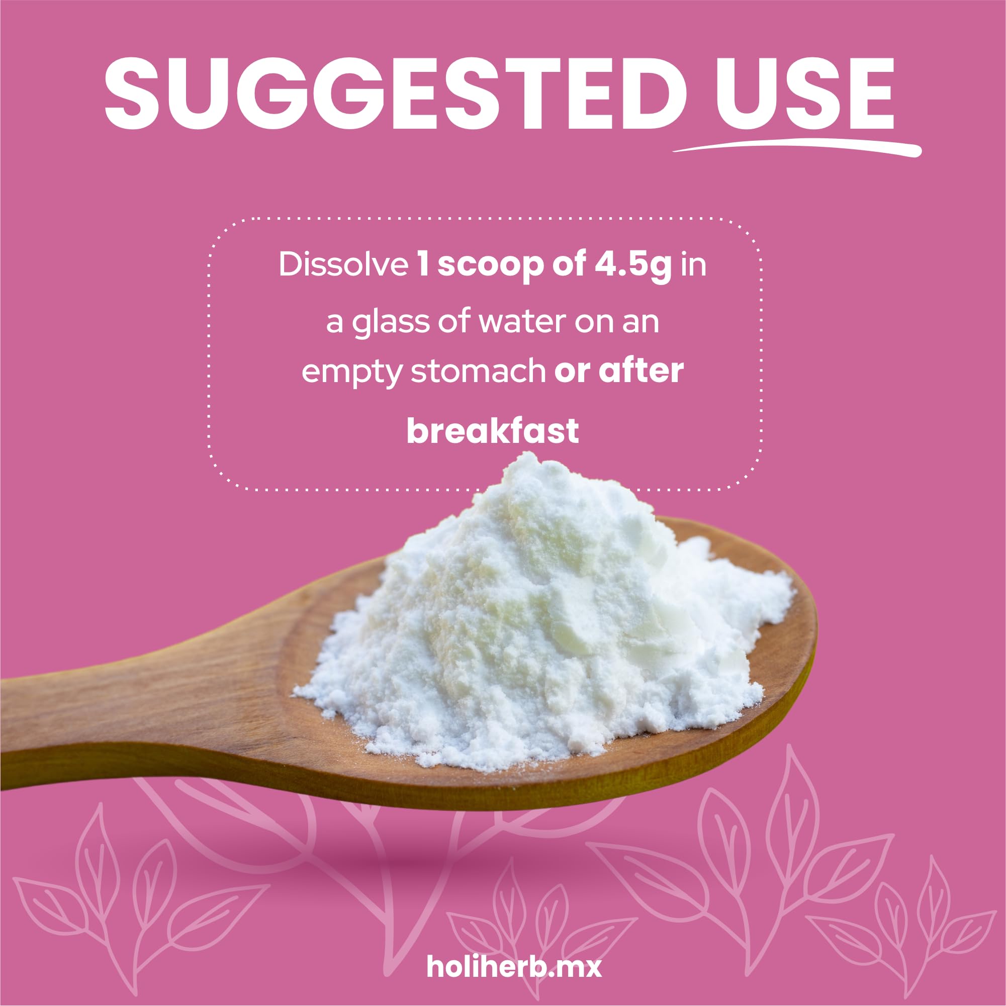 Holiherb 4g Myo Inositol + Folic Acid - AB Mystery