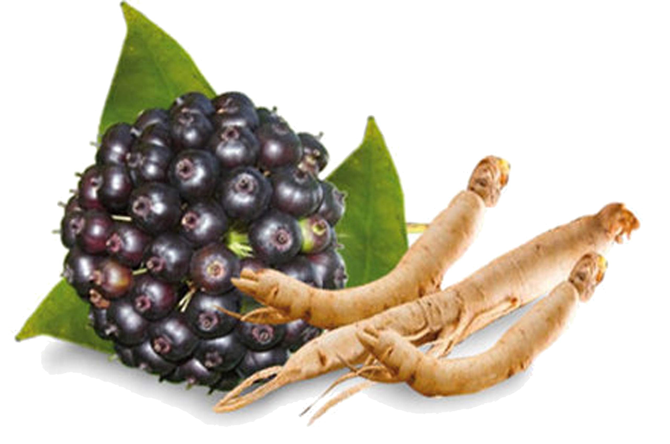 herbal tea for menopause - caffeine free - Hormonal Balance + Hot Flashes – 28 Days MENOPAUSE - AB Mystery