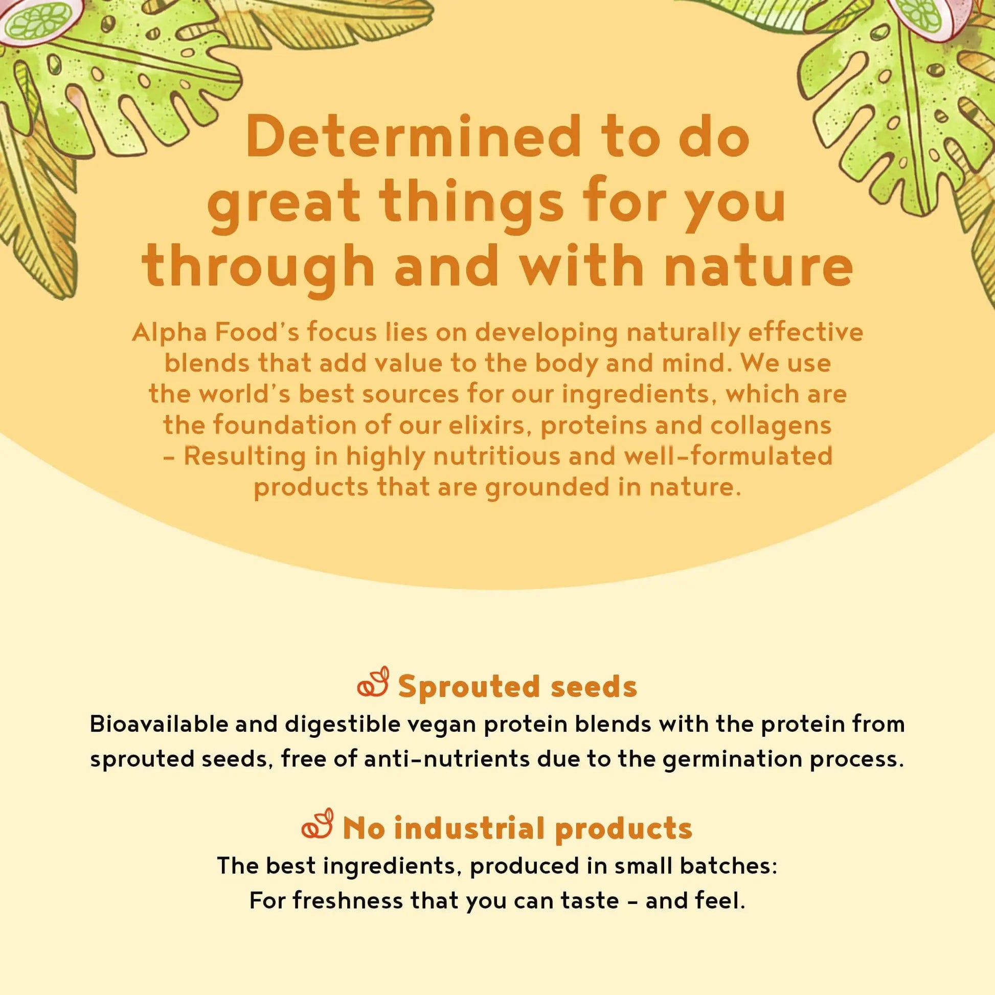 Vegan Protein Powder - Muscle Building Powder with Amino Acids - Plant Based Protein Shake Alpha Foods