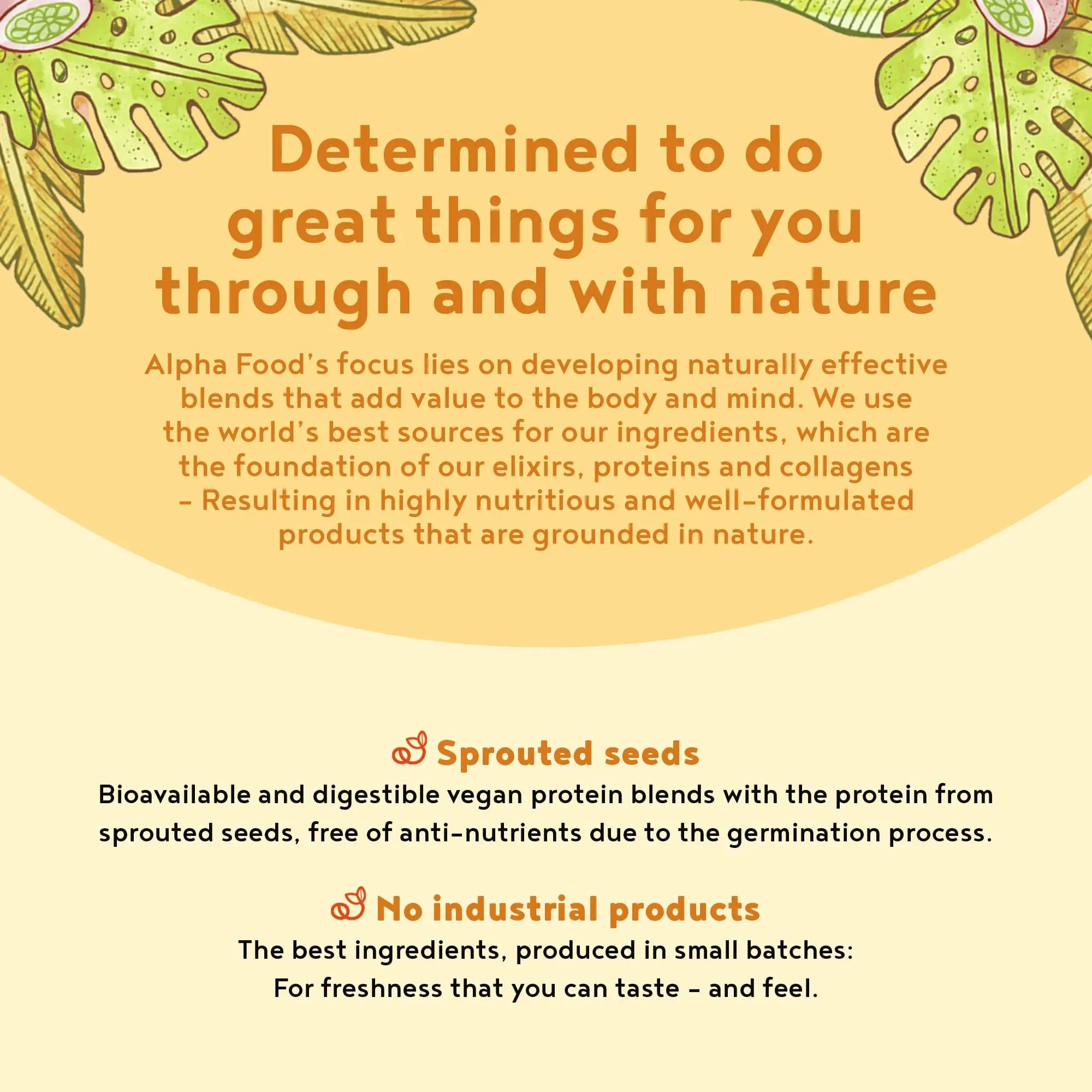 Vegan Protein Powder - Muscle Building Powder with Amino Acids - Plant Based Protein Shake Alpha Foods