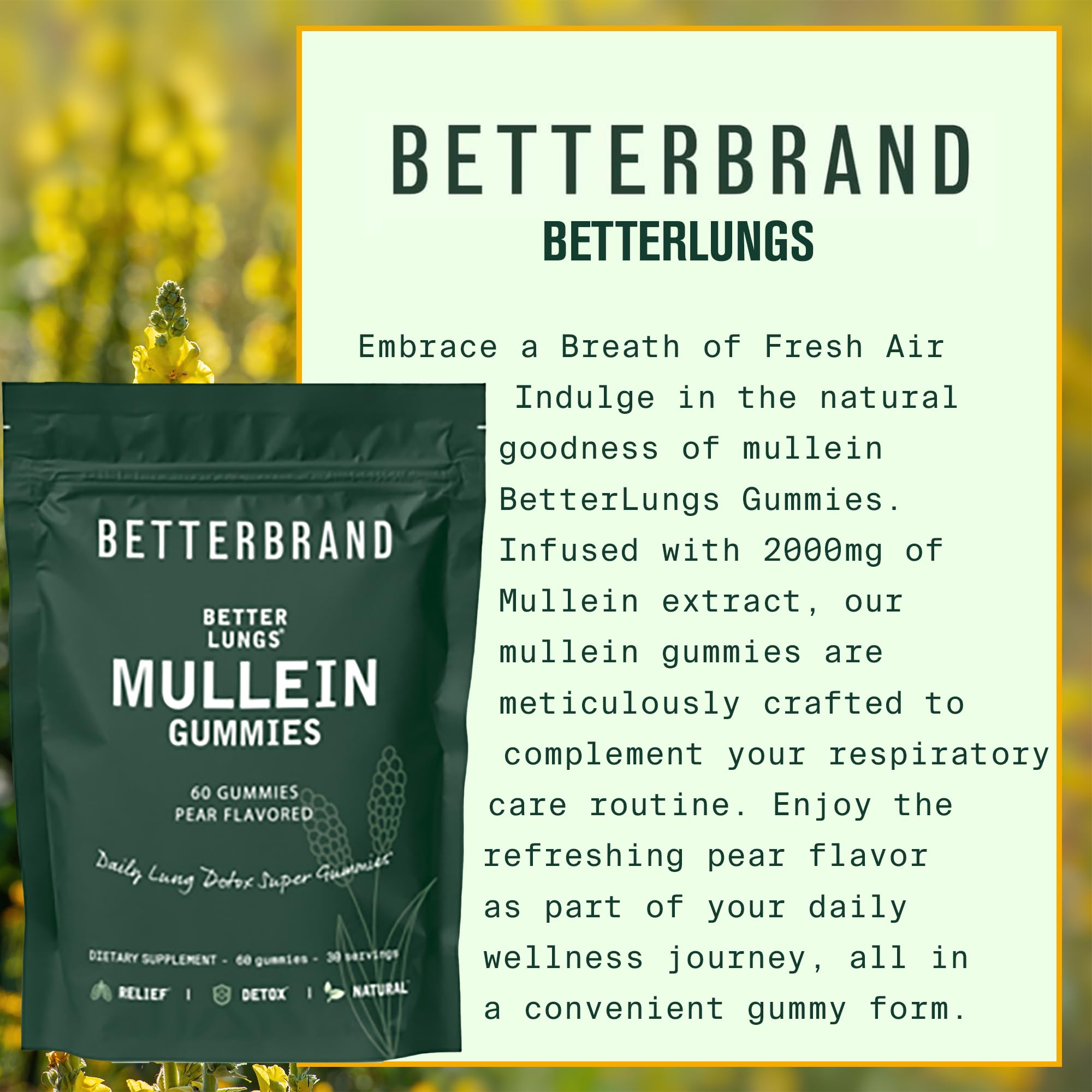 Betterbrand BetterLungs - Daily Respiratory Health Gummies | 1000mg Mullein Leaf herb - AB Mystery