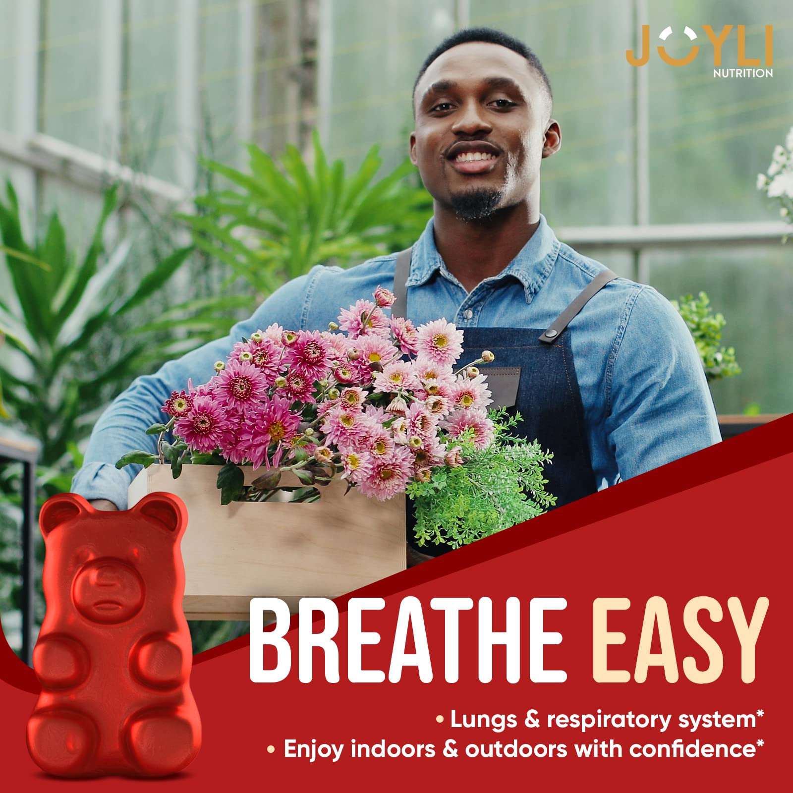 JOYLI Quercetin Gummies - Pure Quercetin with Bromelain Zinc Vitamin C & Vitamin D3 - AB Mystery