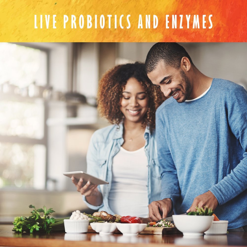 Garden of Life Organic Plant Protein Smooth Energy Powder, 10 Servings - Vegan, Grain - AB Mystery