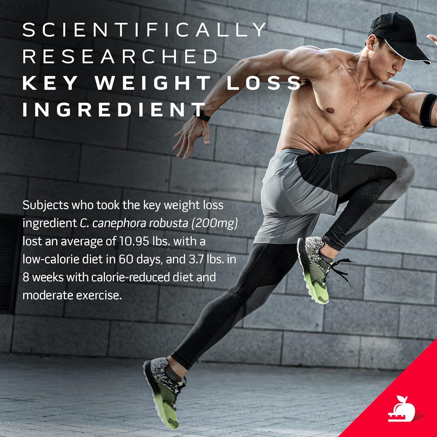 Protein Powder for Weight Loss |MuscleTech Nitro-Tech Ripped |Whey Protein Powder - AB Mystery