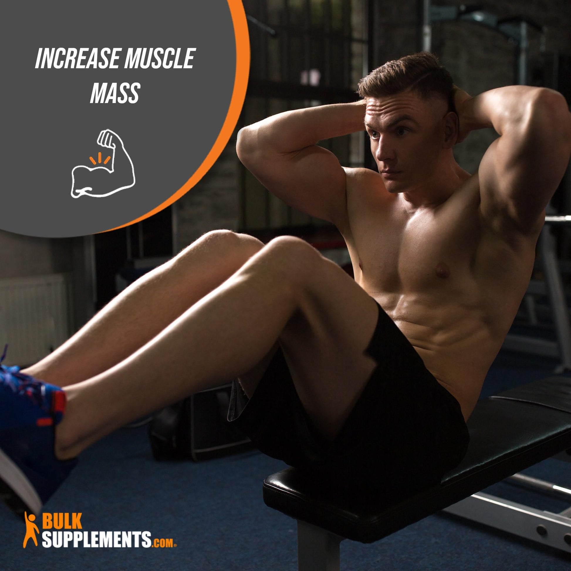 BULKSUPPLEMENTS.COM Hydrolyzed Whey Protein Isolate - Isolate Protein Powder - AB Mystery