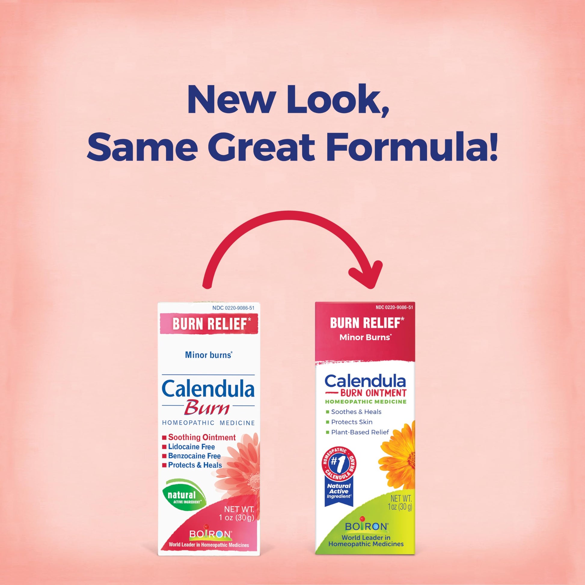 Boiron Calendula Burn Ointment for Relief from Minor Burns from Cooking, Friction, or Sunburns - 1 oz - AB Mystery