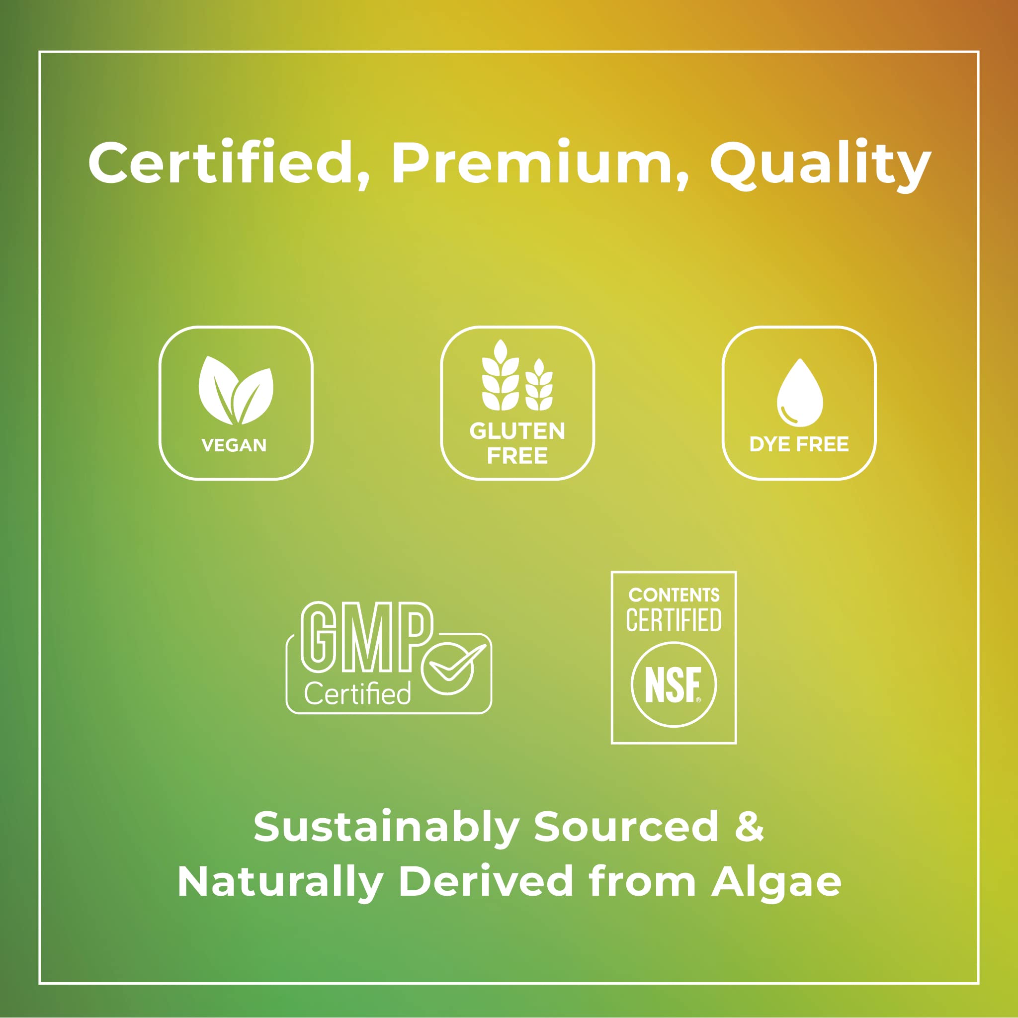 Theralogix PhytoLife Omega - 90-Day Supply - Vegan Algae Omega-3 Supplement - AB Mystery