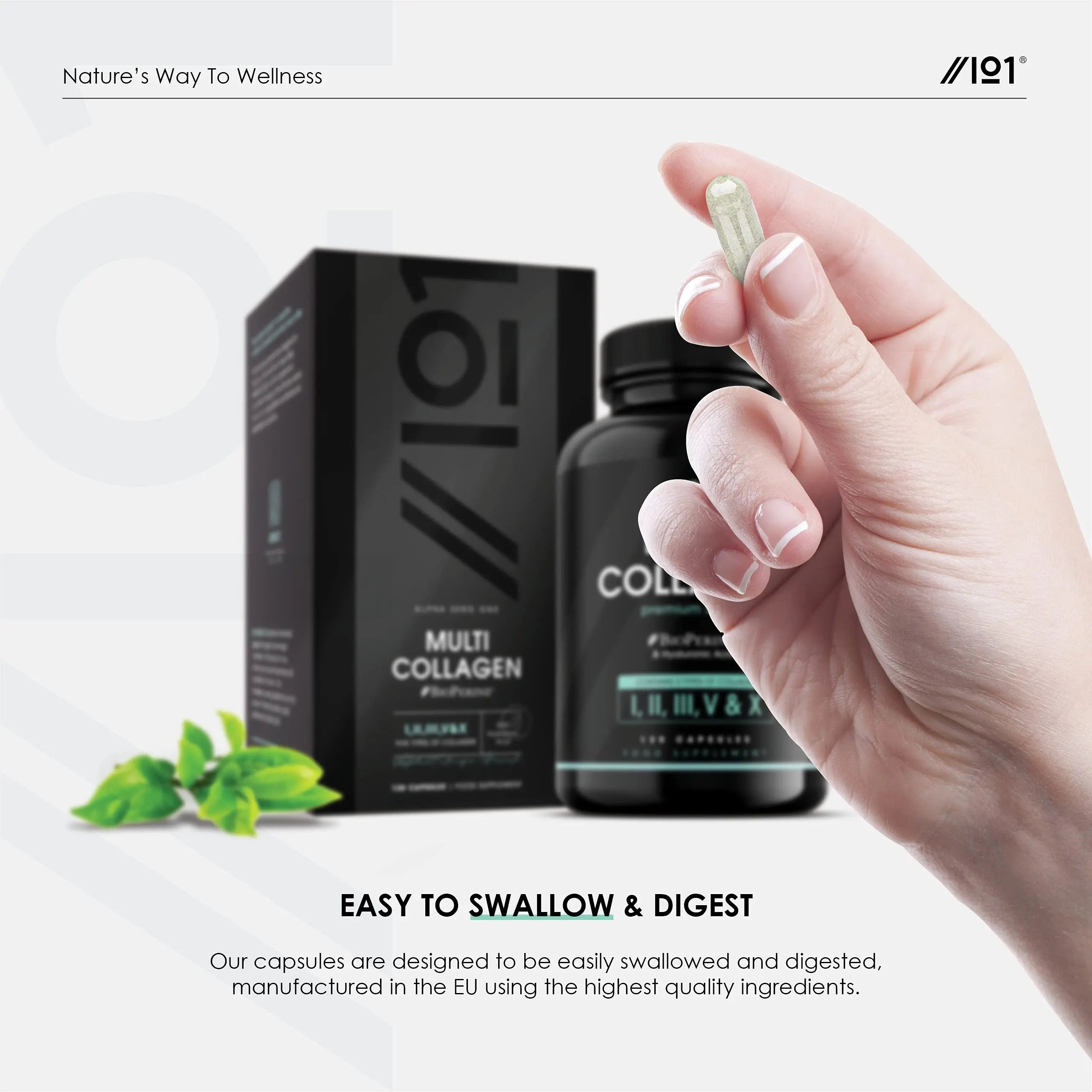 Multi Collagen Capsules - 120 Capsules - Types I, II, III, V & X - Wild Caught Fish, Grass Fed Bovine, Eggshell Revive Naturals