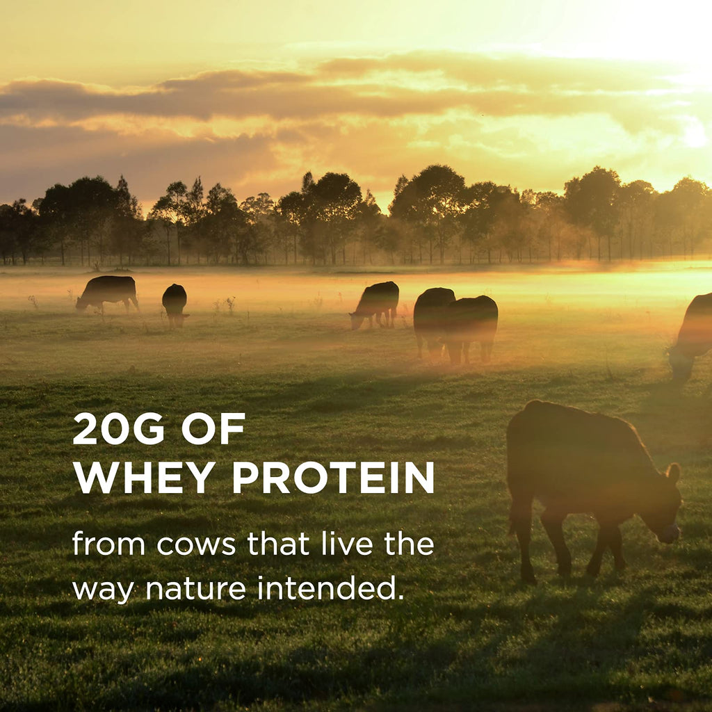 Solgar Whey To Go Natural Vanilla Flavour Protein Powder 340 g - Grass-Fed Whey from New Zealand Cows SOLGAR