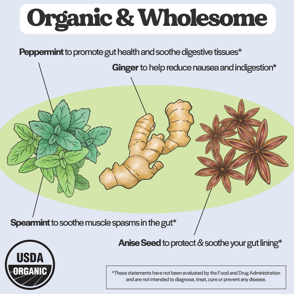 Wholesome Story Morning Sickness Bundle: Premium Bioavailable Prenatal & Postnatal Vitamins Wholesome Story