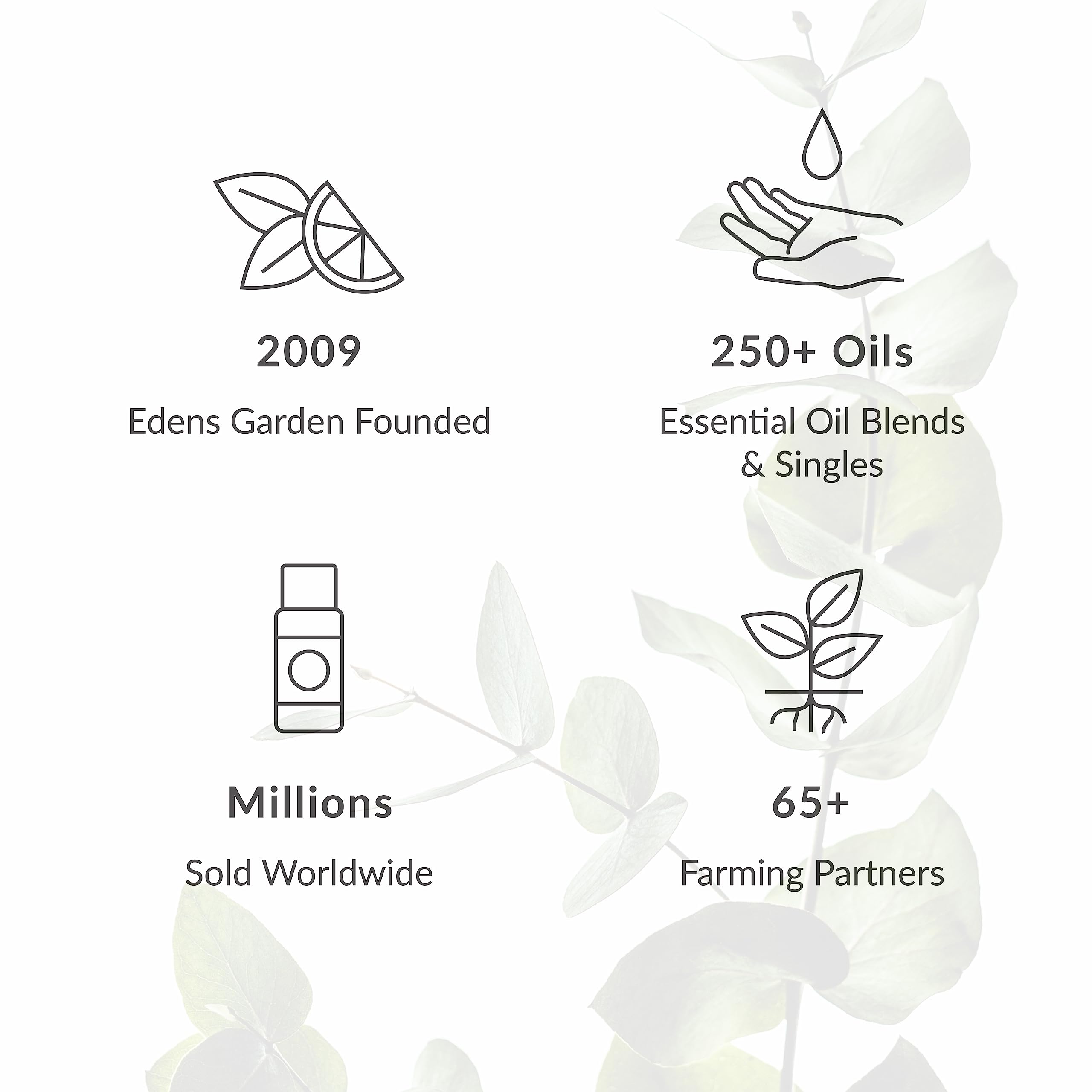 Edens Garden Essential Oil Roll-On Set (Good Night, Peppermint, Stress Less)- Aromatherapy Roller - AB Mystery