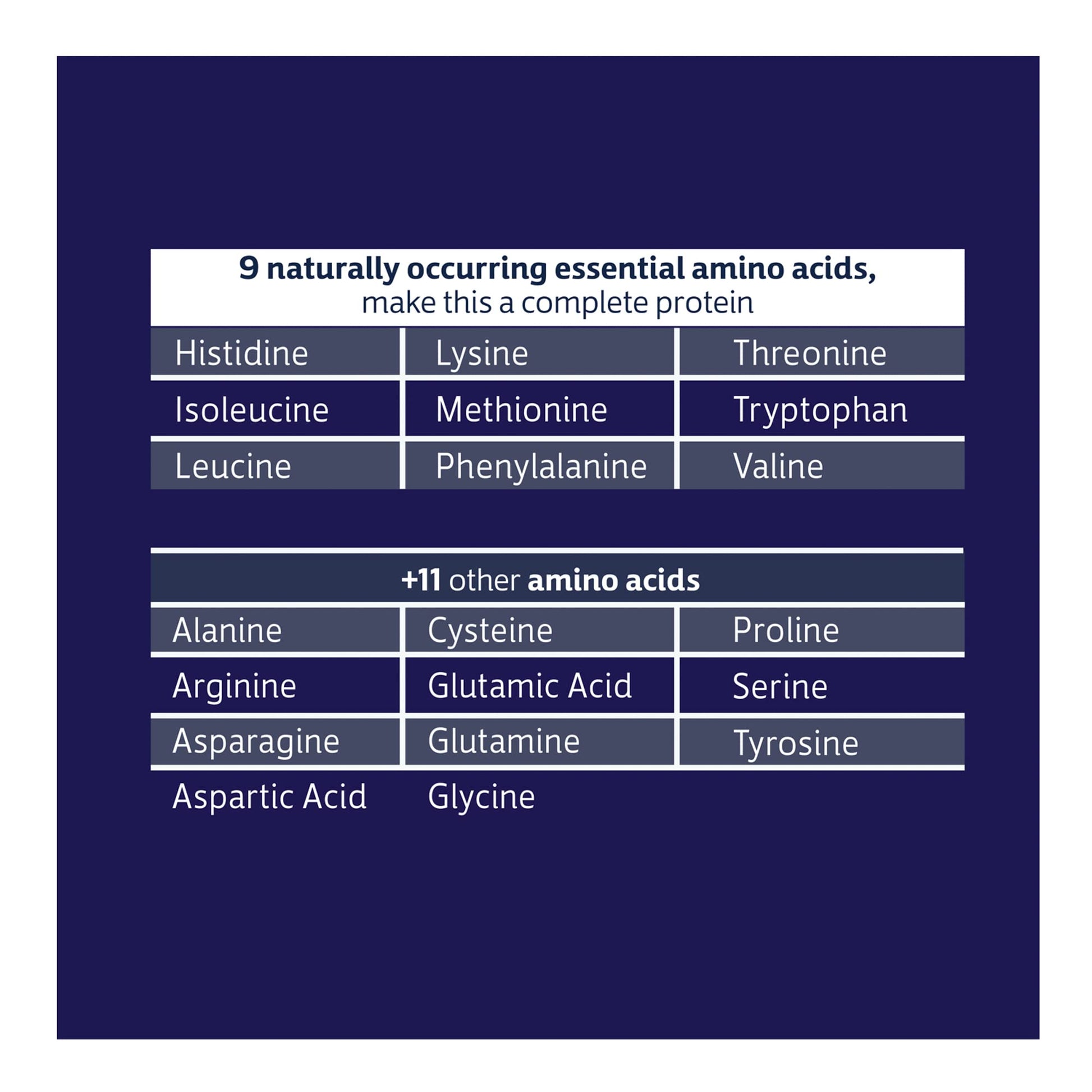 Biochem 100% Whey Sugar-Free Vanilla 20g, 11.8oz, Certified Vegetarian, Certified Gluten - AB Mystery