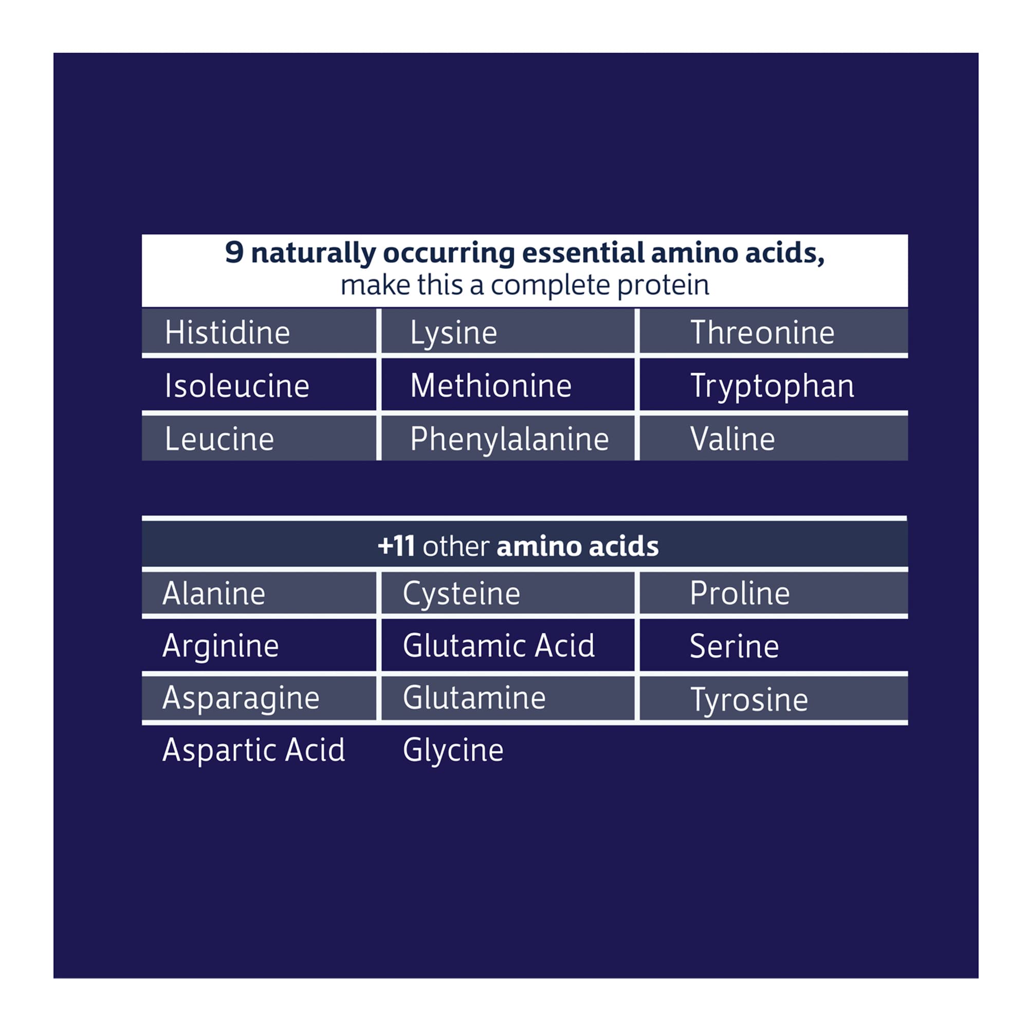 Biochem 100% Whey Sugar-Free Vanilla 20g, 11.8oz, Certified Vegetarian, Certified Gluten - AB Mystery