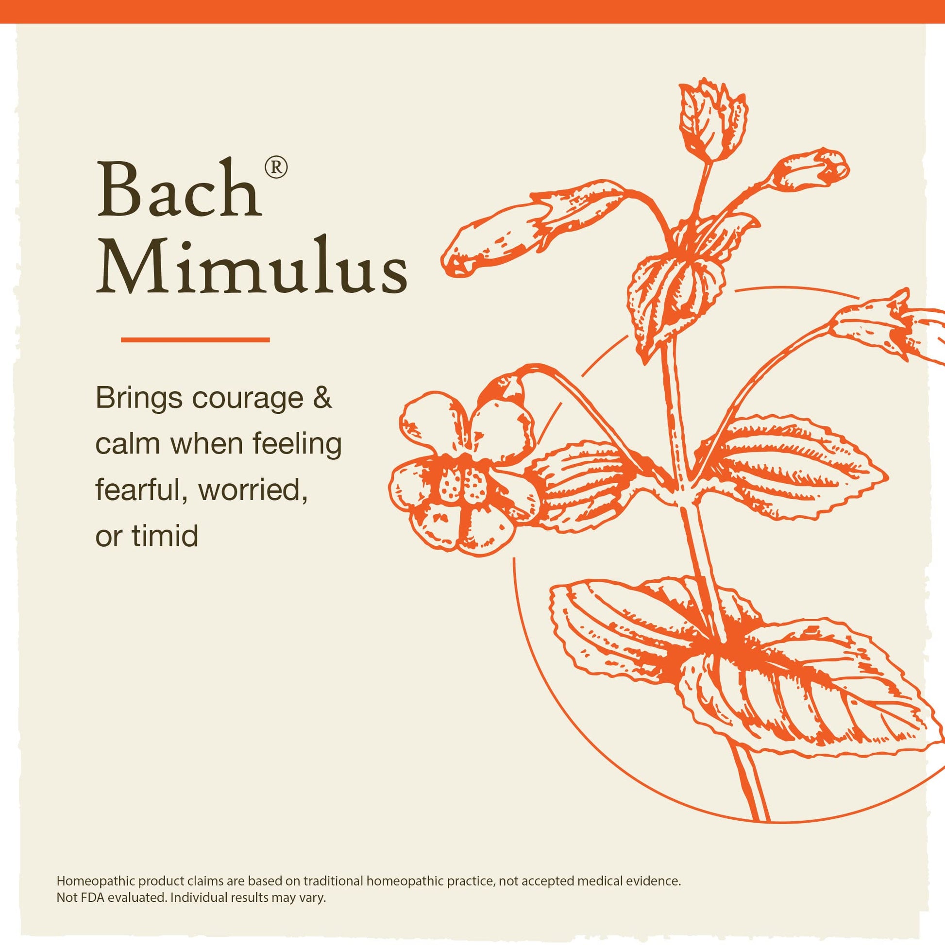 Bach Original Flower Remedies, Mimulus for Facing Fears (Non-Alcohol Formula), Natural Homeopathic - AB Mystery