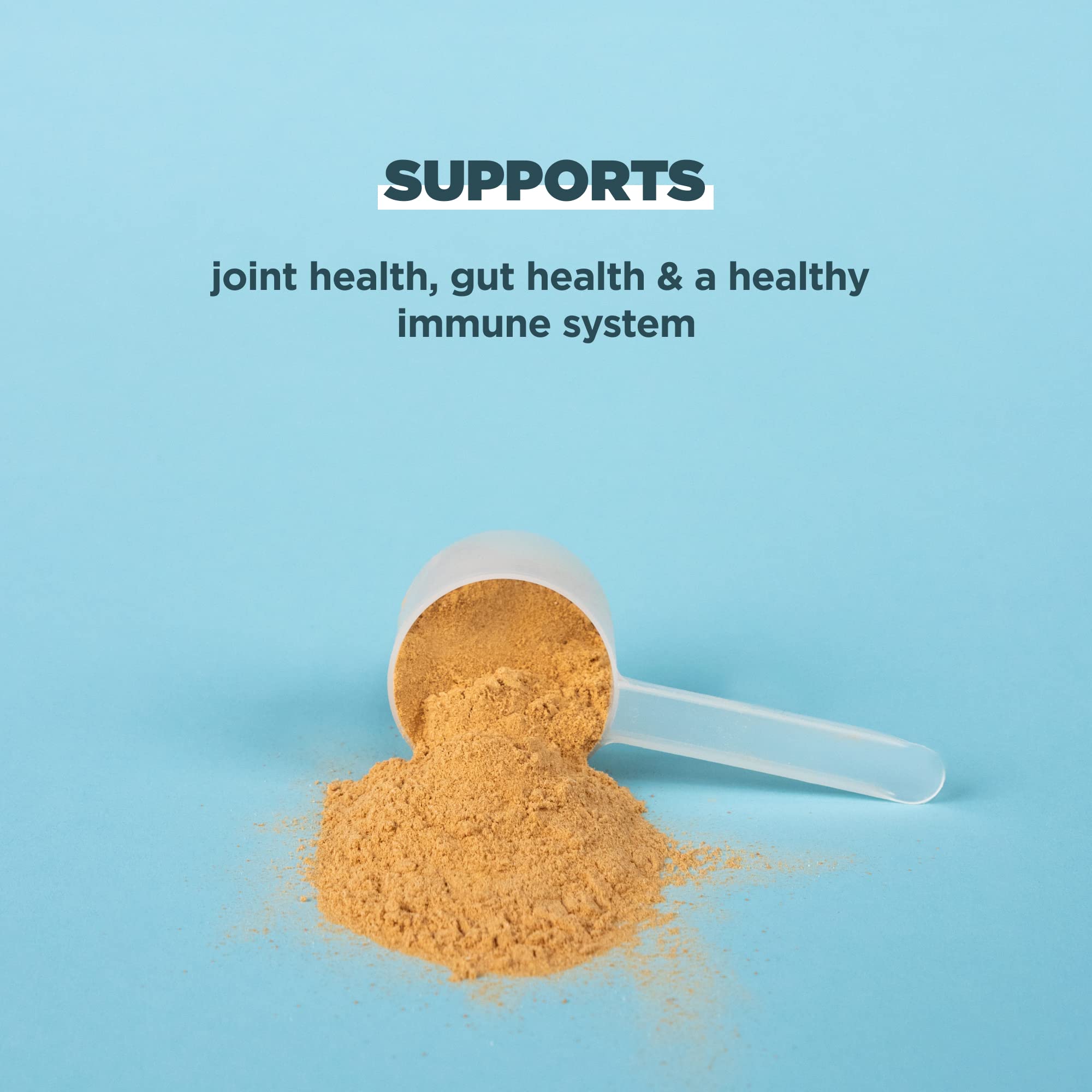 Ancient Nutrition Bone Broth Protein Powder, Salted Caramel, 19g Protein per Serving - AB Mystery