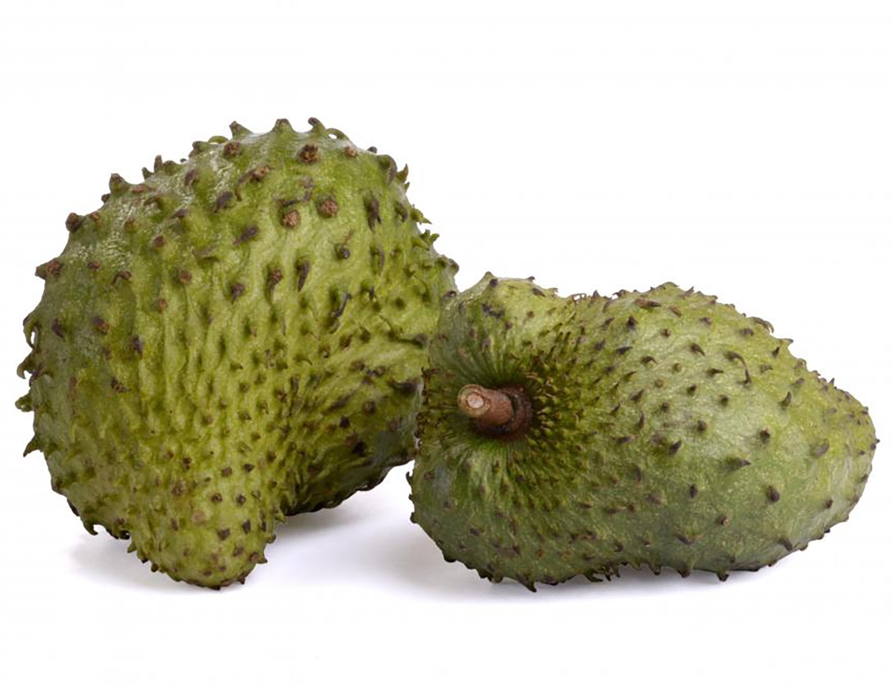 Organic Graviola Liquid Soursop Extract 4 oz Wildcrafted Tincture - AB Mystery