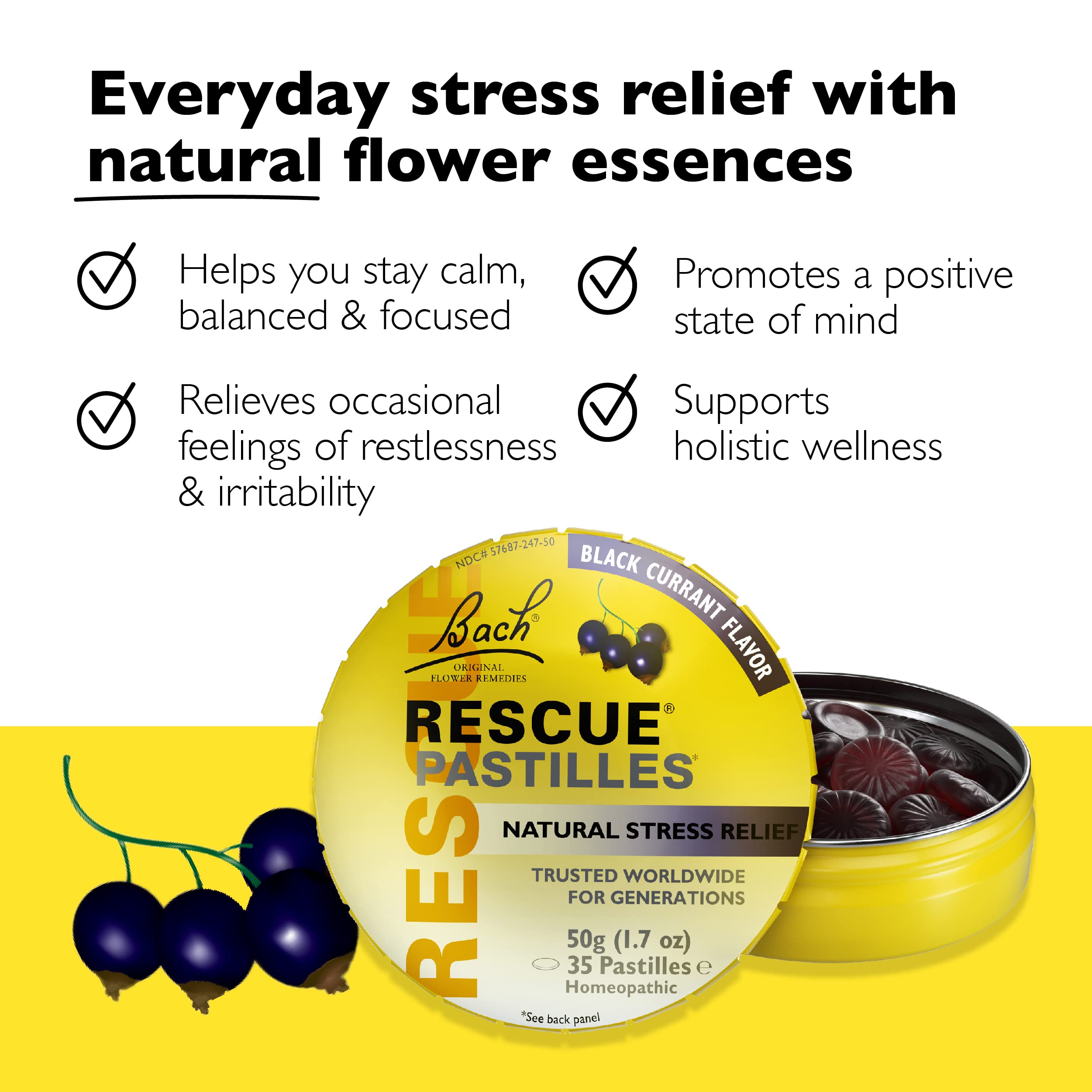 Bach RESCUE PASTILLES, Black Currant Flavor, Natural Stress Relief Lozenges, Homeopathic Flower - AB Mystery