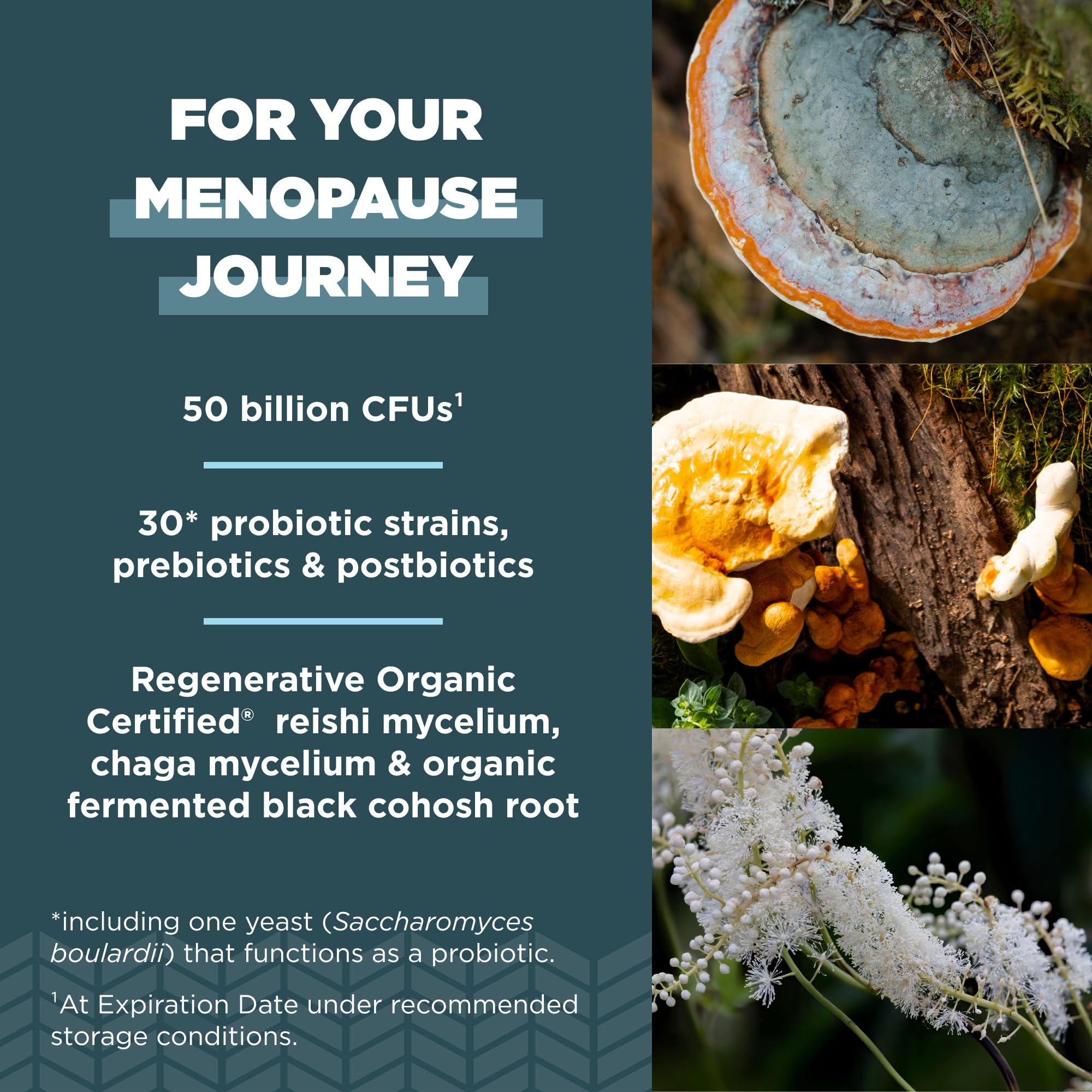 Ancient Nutrition Regenerative Organic Certified Probiotics for Menopause Support - AB Mystery