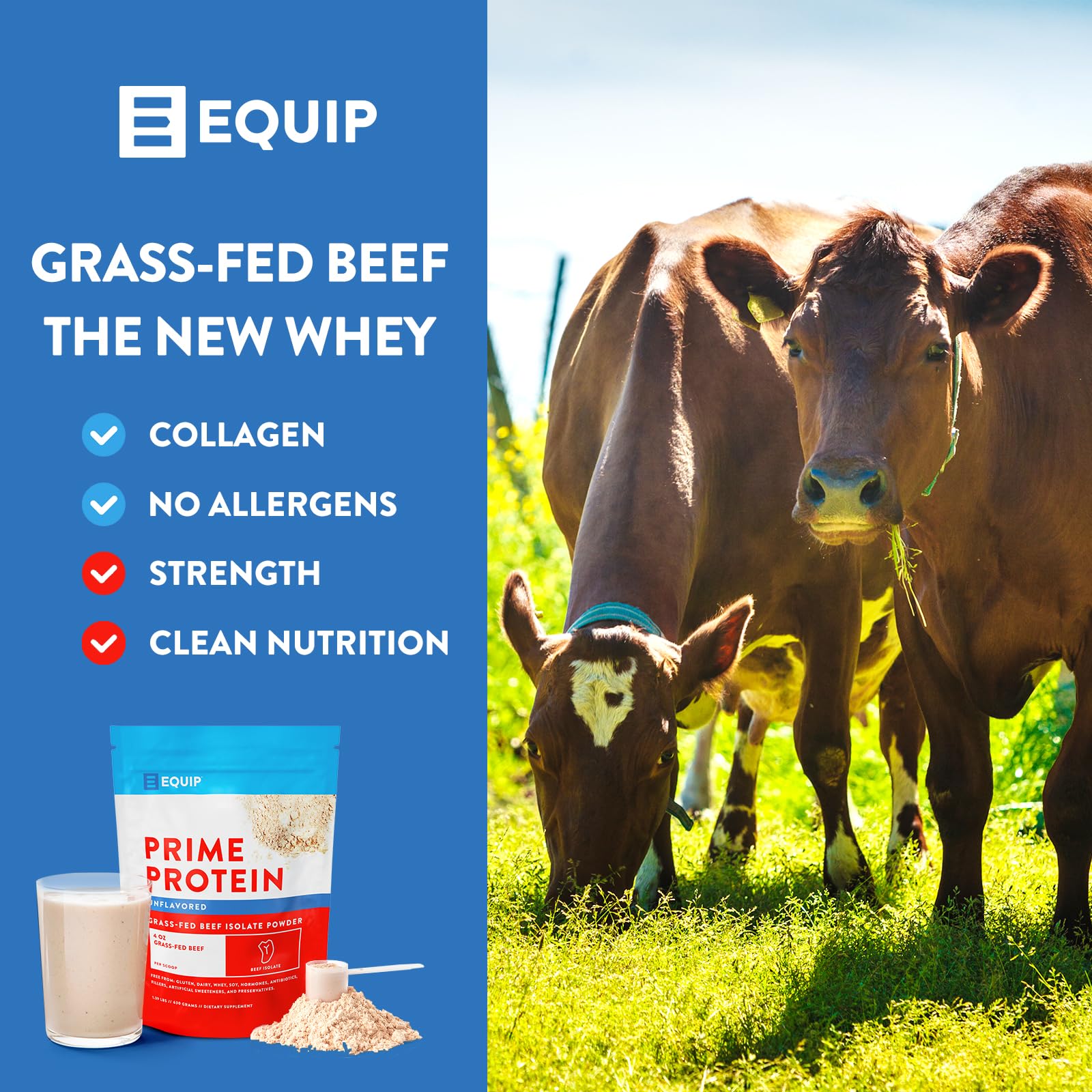 Equip Foods Prime Protein - Grass Fed Beef Protein Powder Isolate - Paleo and Keto Friendl - AB Mystery