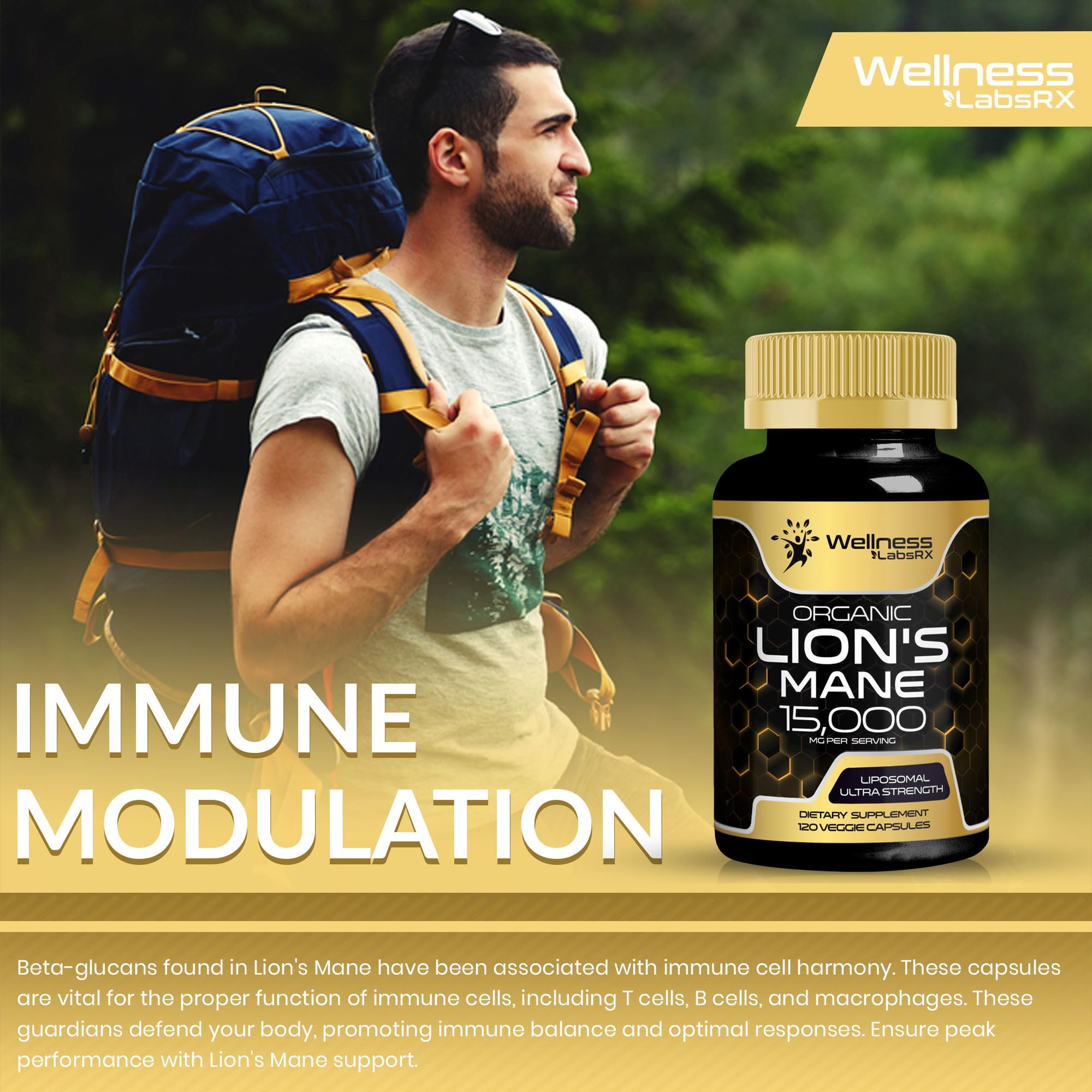 Lions Mane Supplement Capsules - 120 Count - Mushroom Supplement, Brain Supplements - AB Mystery