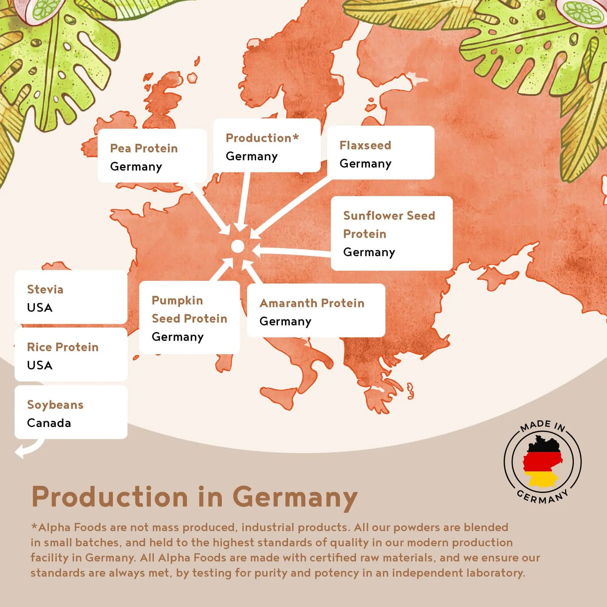 Alpha Foods Vegan Protein Powder - Muscle Building Powder with Amino Acids Alpha Foods