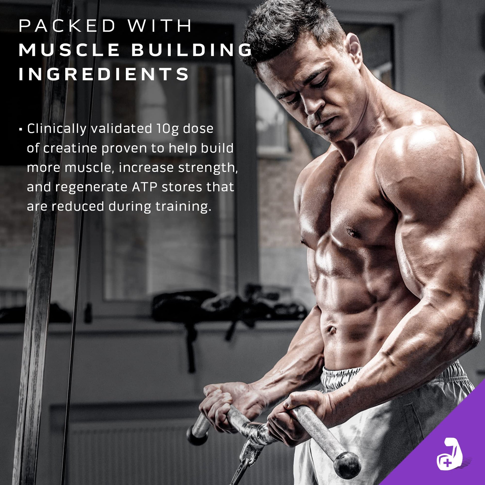 Muscletech Mass Gainer Mass-Tech Extreme 2000, Muscle Builder Whey Protein Powder - AB Mystery