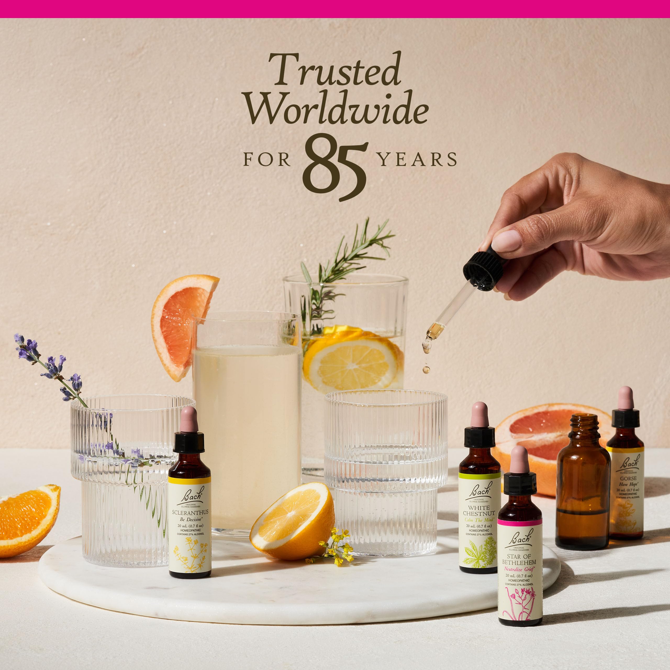 Bach Original Flower Remedies, Pine for Self Respect, Natural Homeopathic Flower Essence - AB Mystery