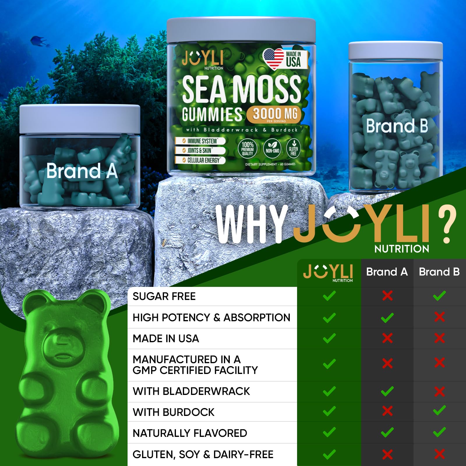 Sea Moss Gummies - Irish Seamoss Gummies for Adults & Kids - Advanced Superfood - AB Mystery