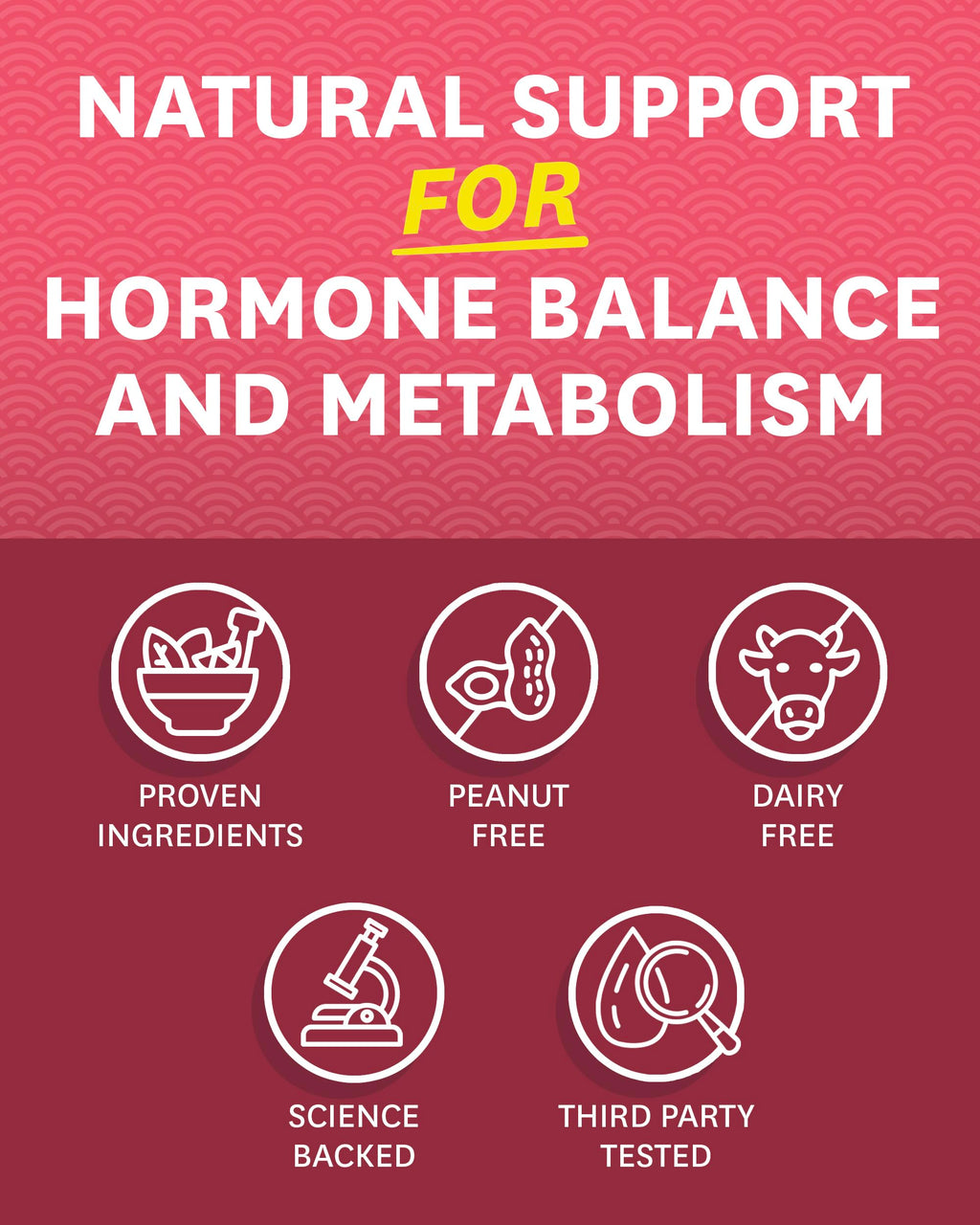 Zenwise Health ZenoPause for Menopause Relief and Weight Management | Digestive Health - AB Mystery