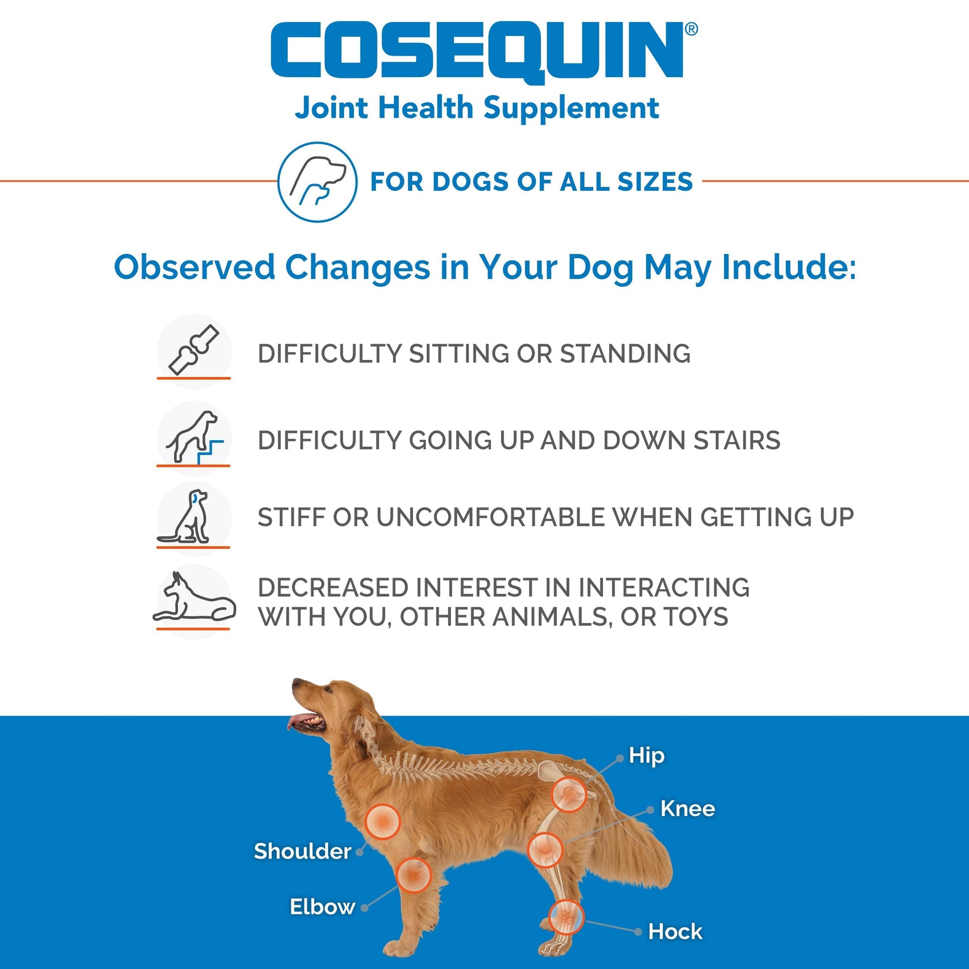 Nutramax Laboratories Cosequin Maximum Strength Joint Health Supplement for Dogs - AB Mystery