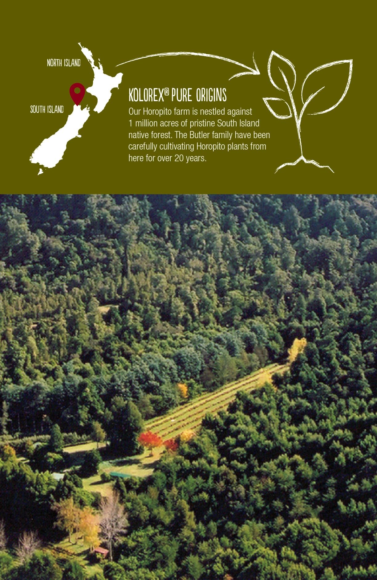 Kolorex Gut Care Candida Balance (Advanced Candida Care) 60ct - AB Mystery