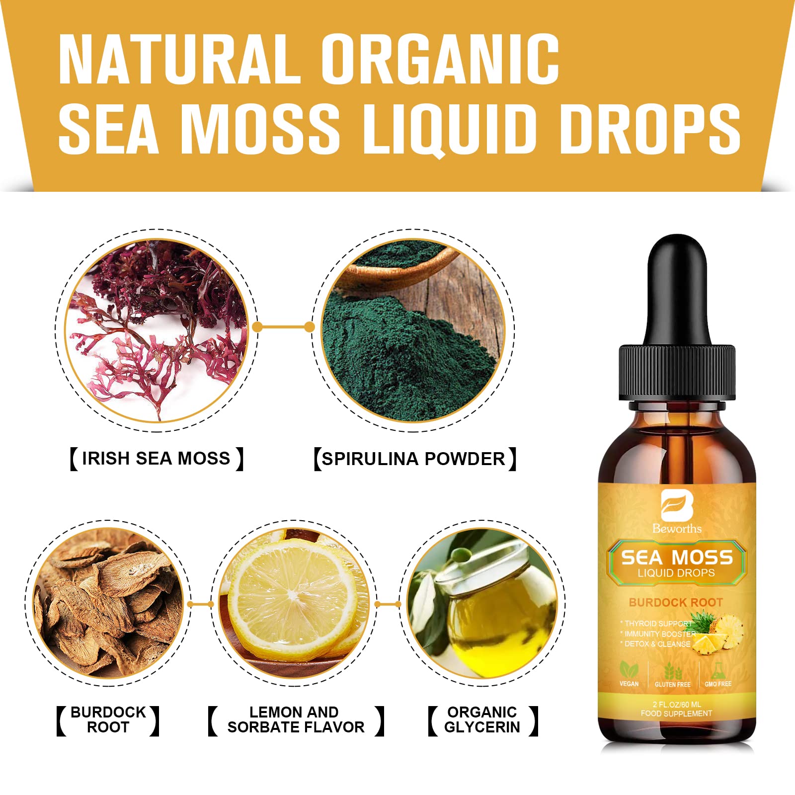 B BEWORTHS Sea Moss Liquid Drops - Organic Irish Sea Moss Gel with Burdock Root - AB Mystery