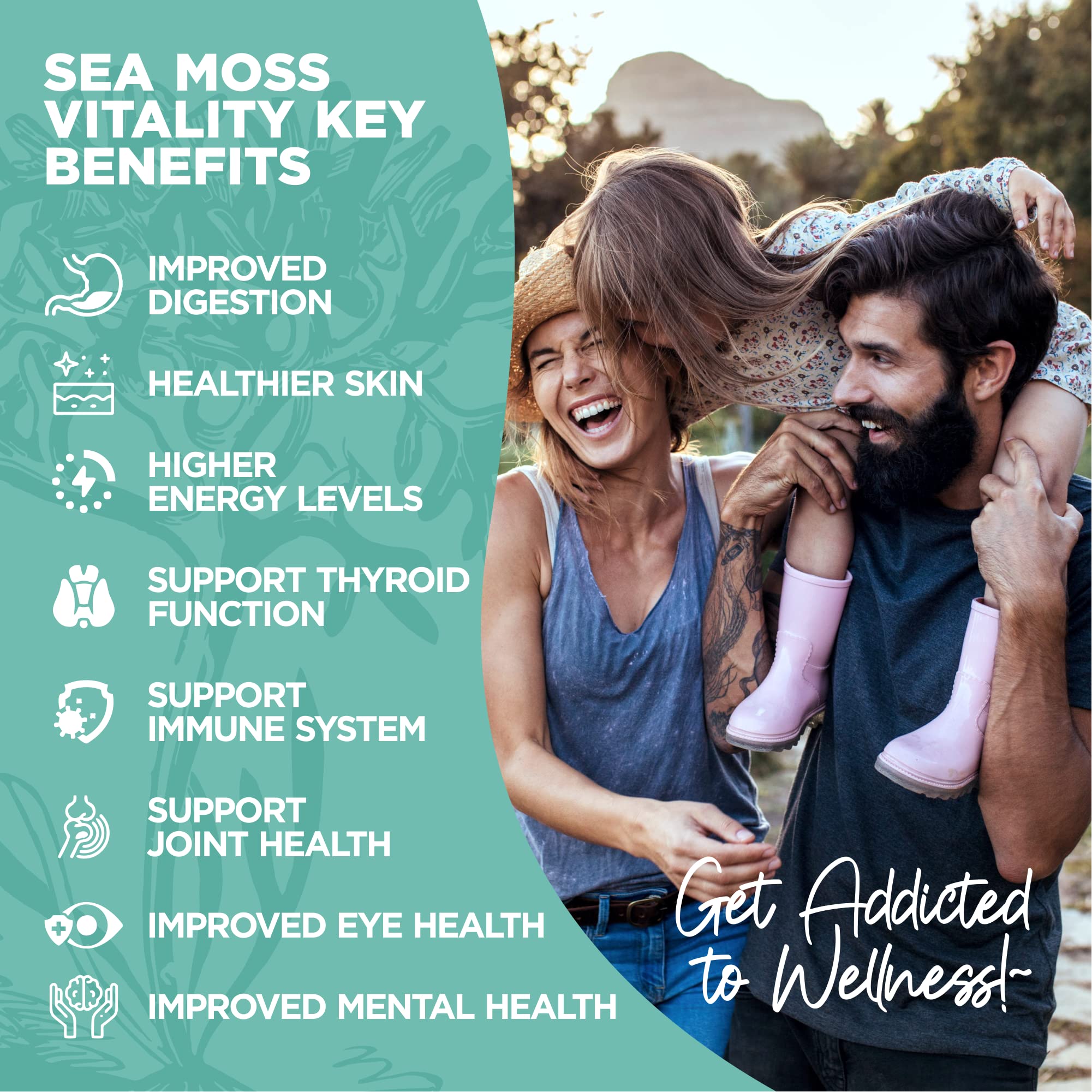 HerbaMe Organic Irish Sea Moss with Bladderwrack, Burdock Root & Black Pepper Extract - AB Mystery