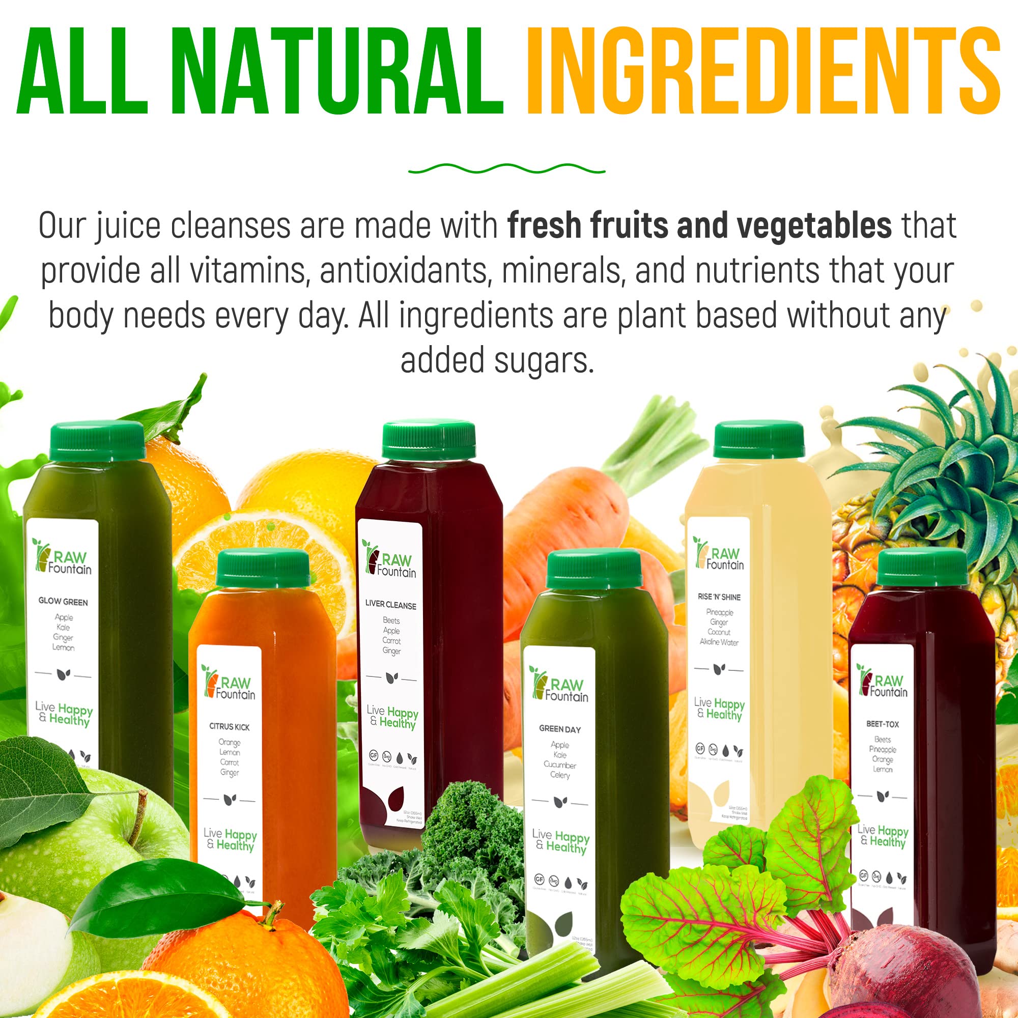 Raw Fountain 1 Day Juice Cleanse, All Natural Detox Cleanse, Cold Presssed Fruit - AB Mystery