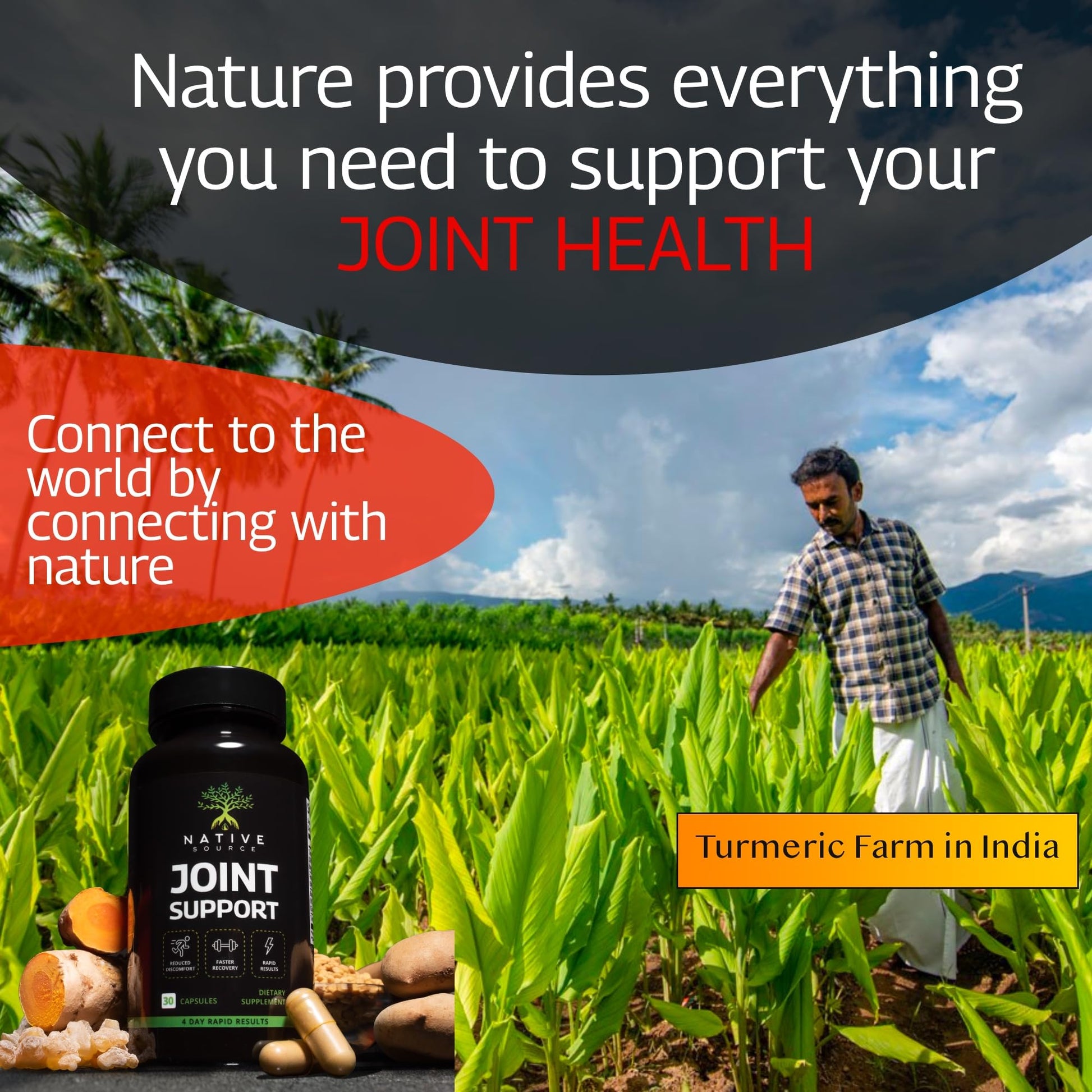 Native Source Joint Support Supplement - Turmeric - Tamarind - Boswellia - Fenugreek - AB Mystery