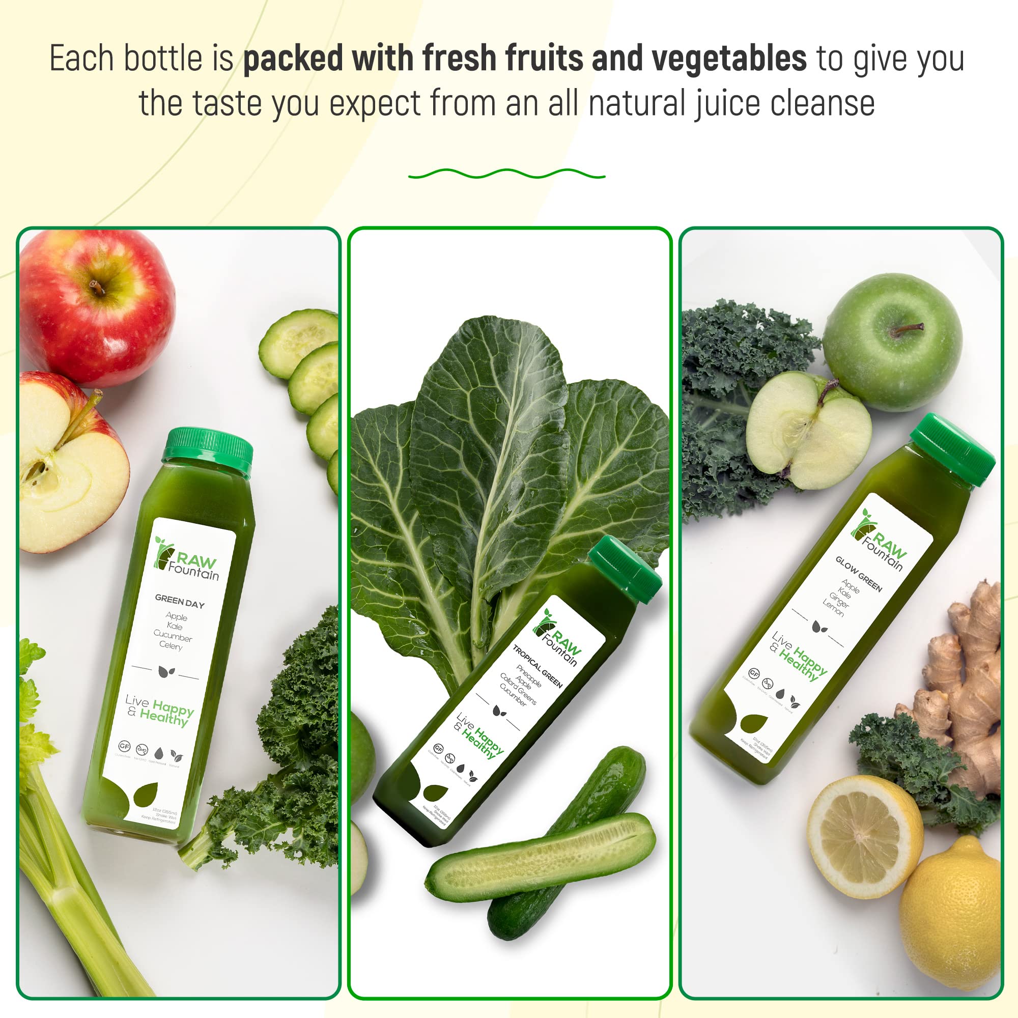 1 Day Green Juice Cleanse by Raw Fountain, All Natural Raw, Vegan Detox, Cold Pressed - AB Mystery