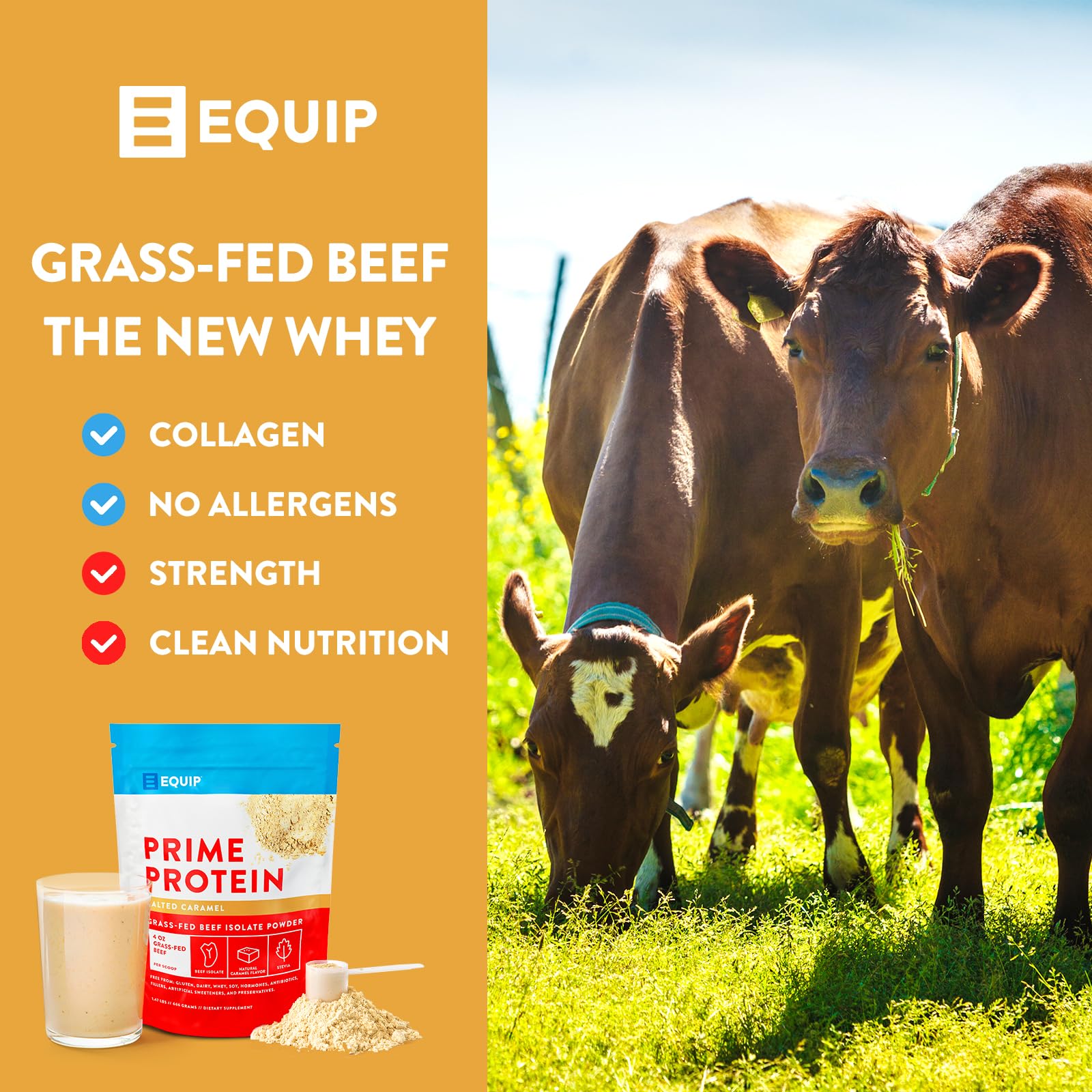 Equip Foods Prime Protein - Grass Fed Beef Protein Powder Isolate - Paleo and Keto - AB Mystery