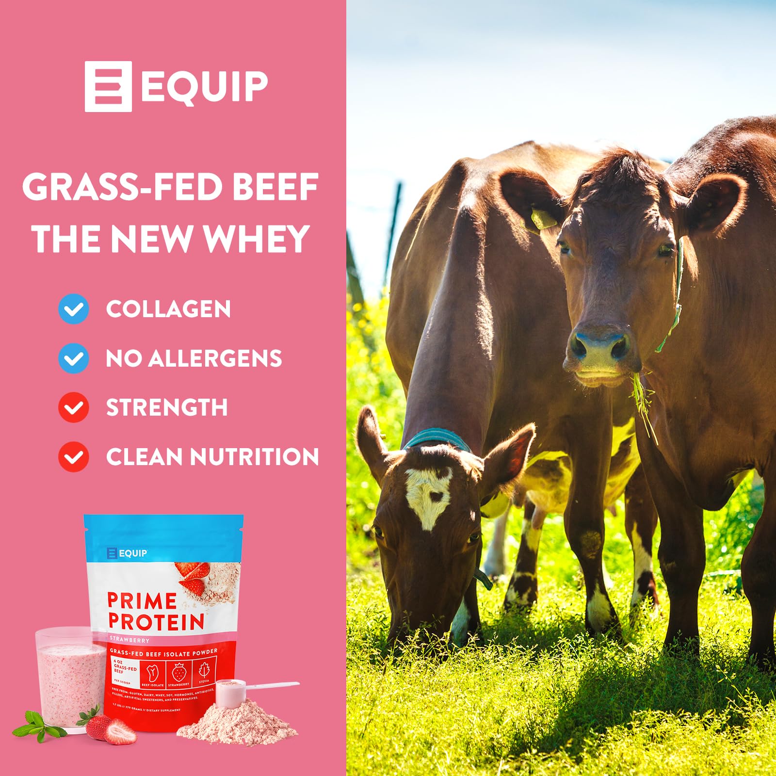 Equip Foods Prime Protein - Grass-Fed Beef Protein Powder Isolate -Paleo and Keto - AB Mystery