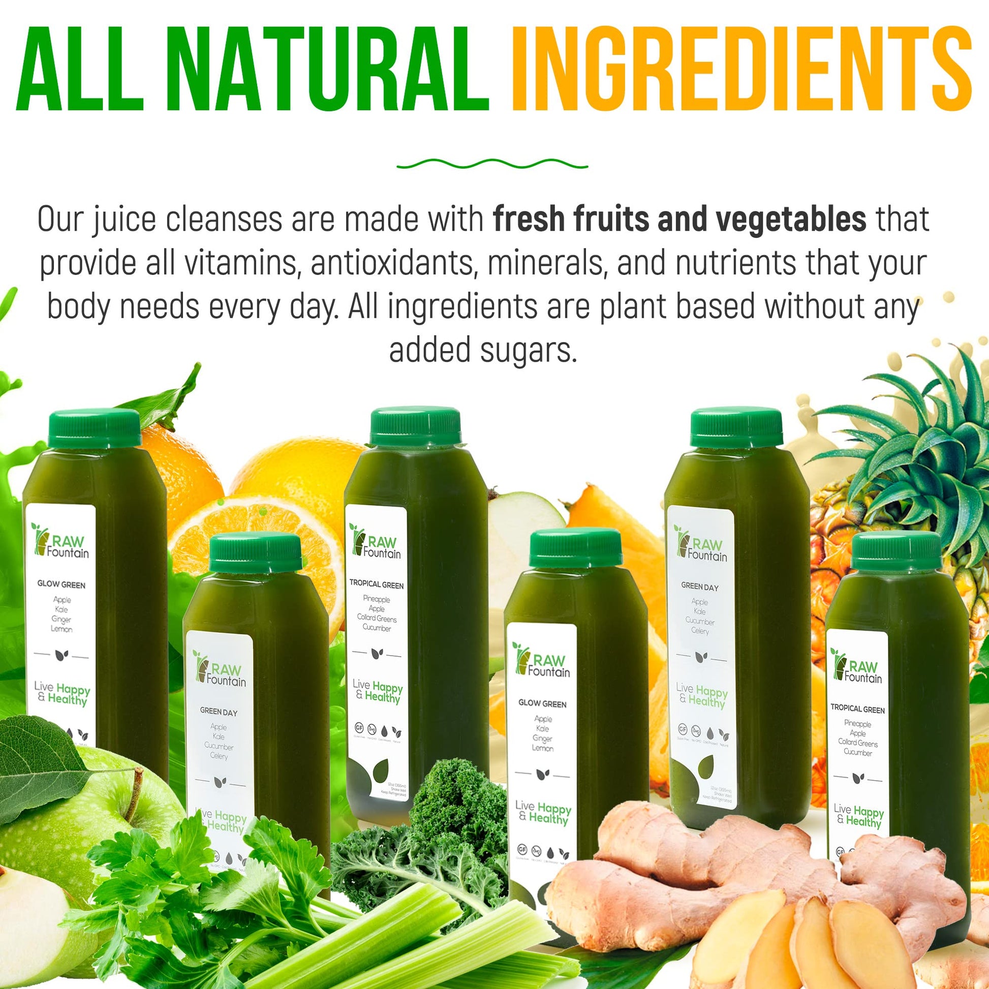 Raw Fountain 5 Day Green Juice Cleanse, All Natural Raw, Vegan Detox, Cold Pressed - AB Mystery