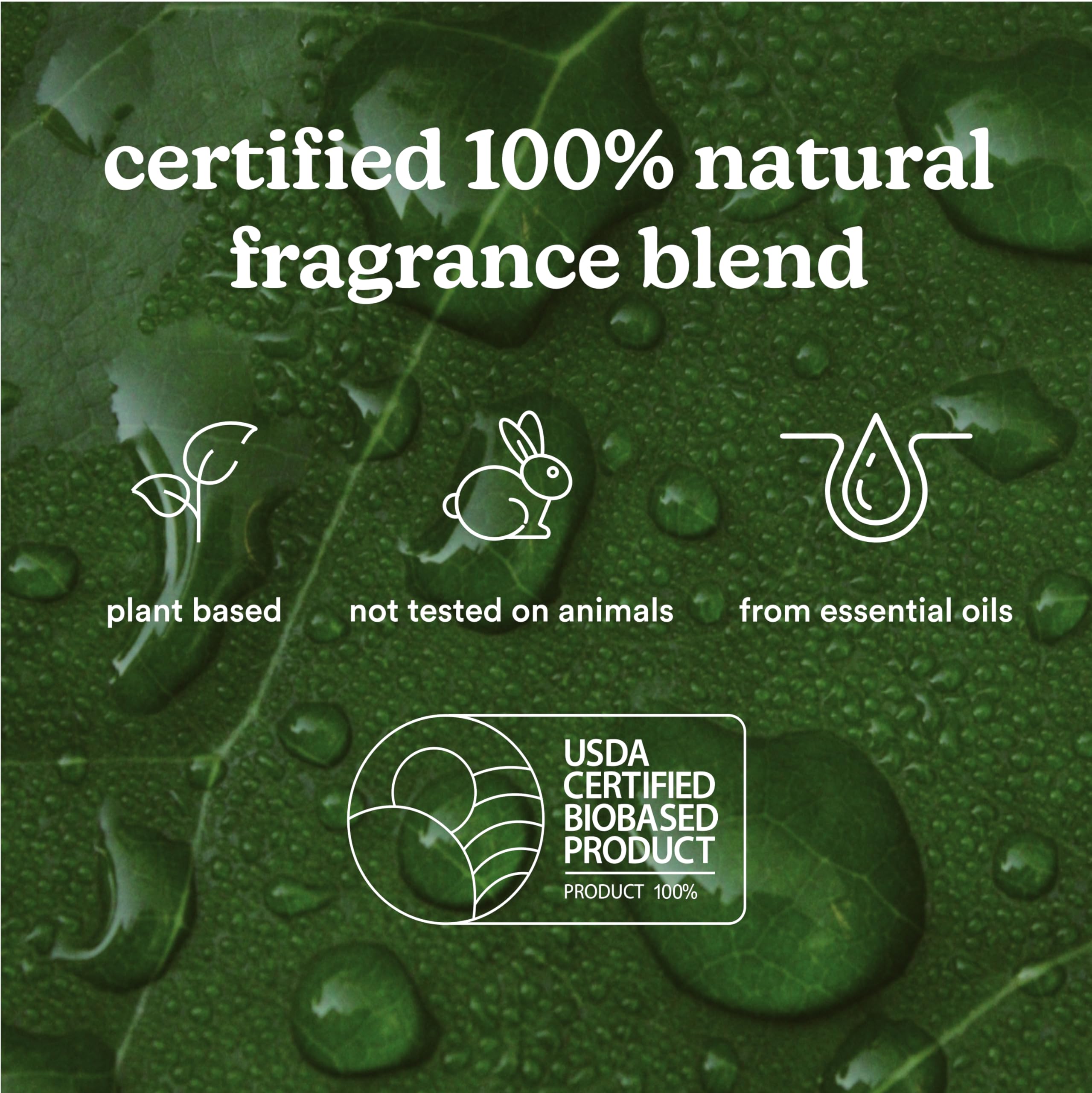 Homedics SereneScent Moroccan Magic Fragrance Oil Bottle, 120 ml, Clean & Natural, Fruity & Woody - AB Mystery